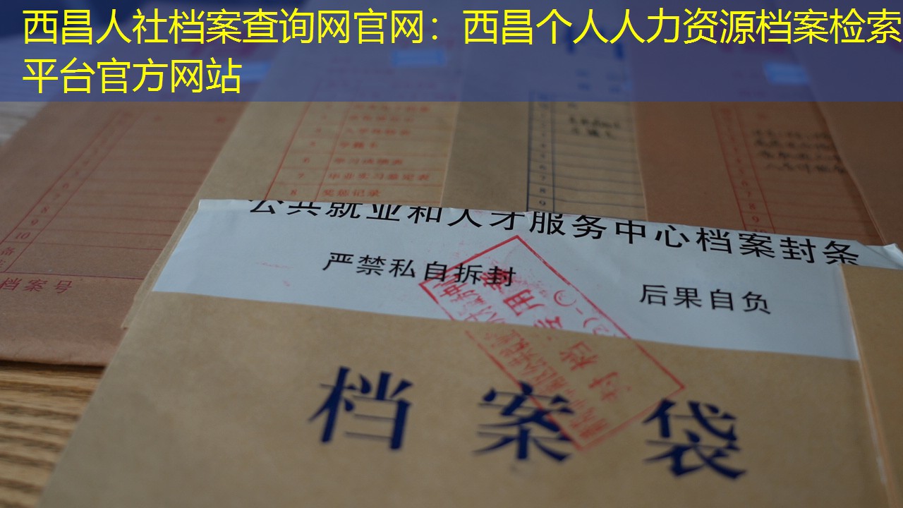 档案查询