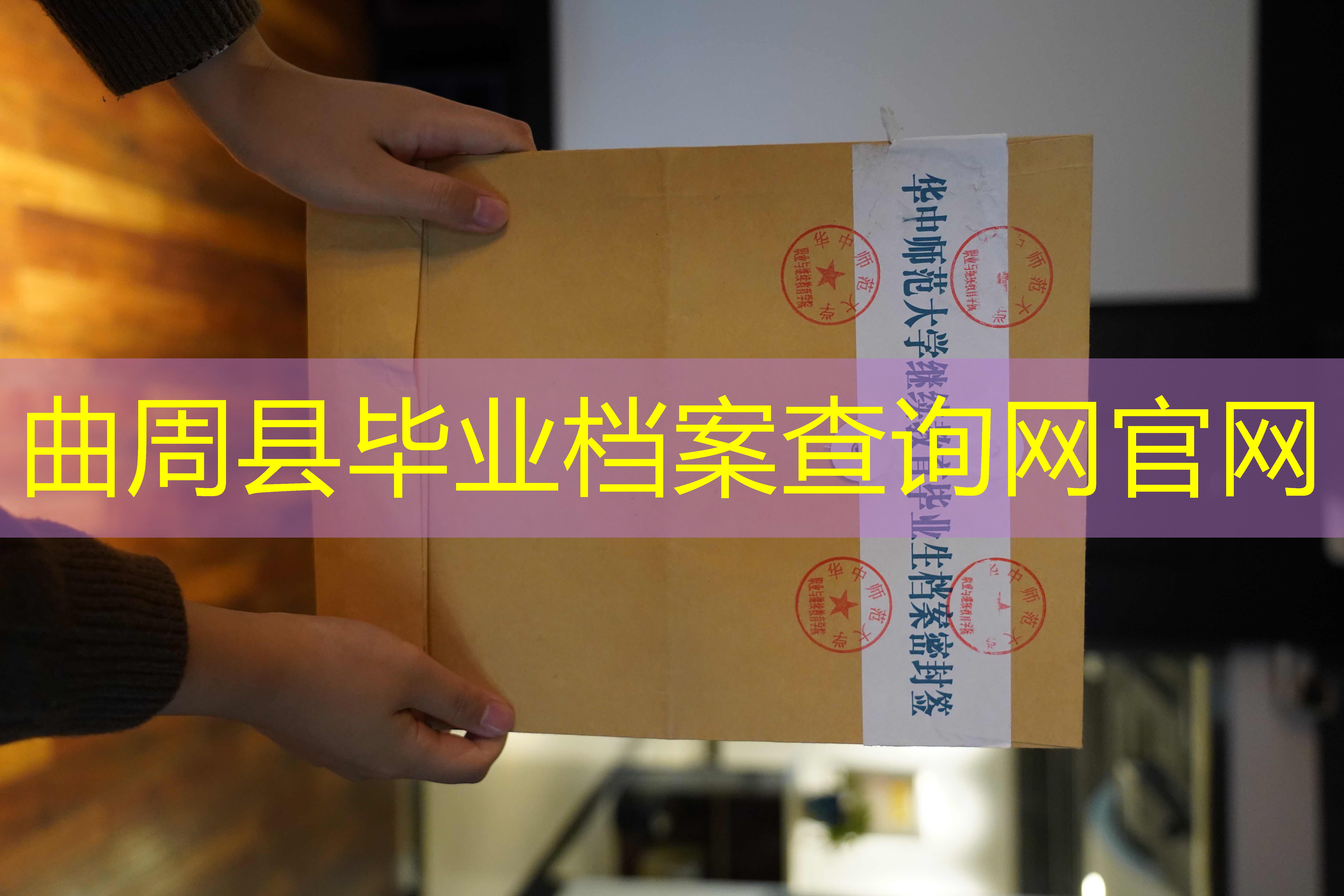档案查询