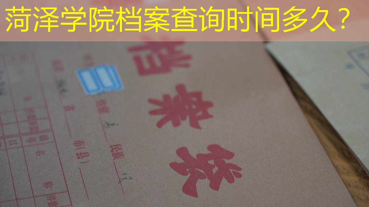 档案查询