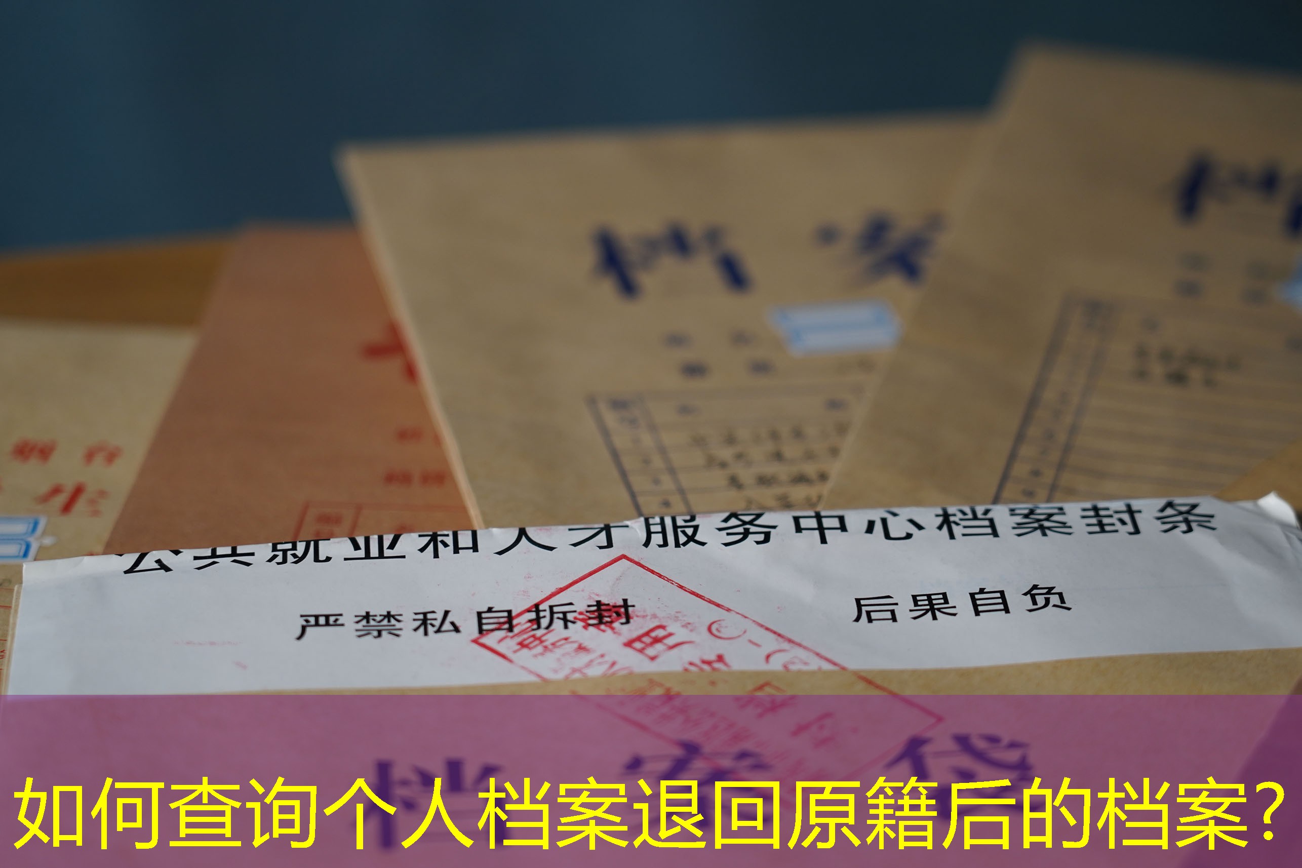 档案查询