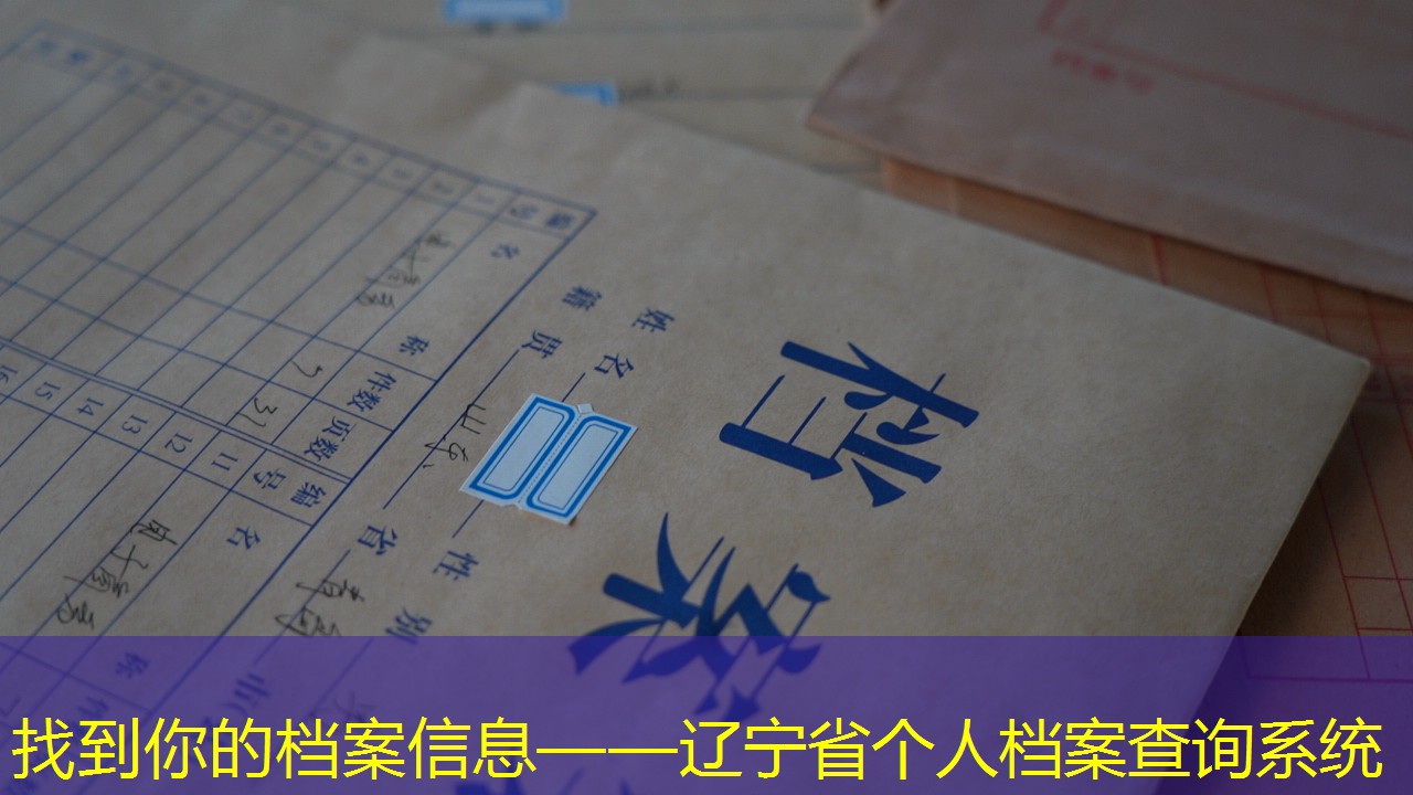 档案查询