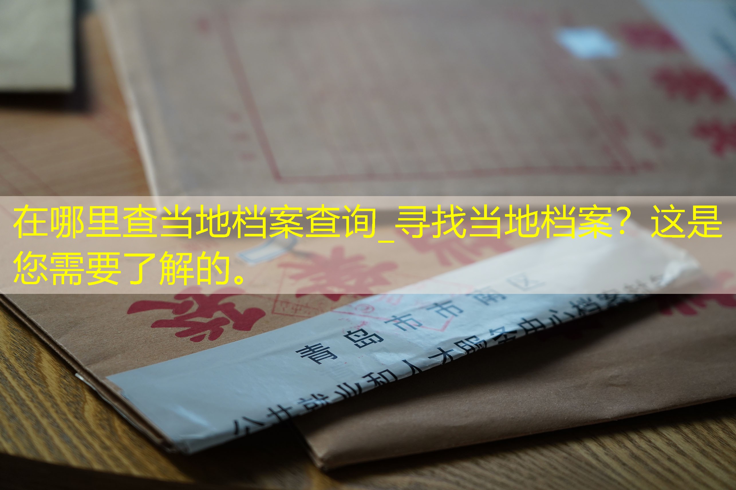 档案查询