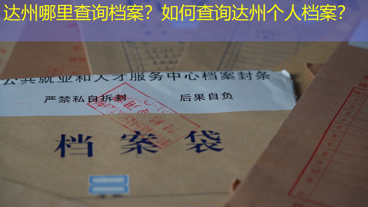 档案查询