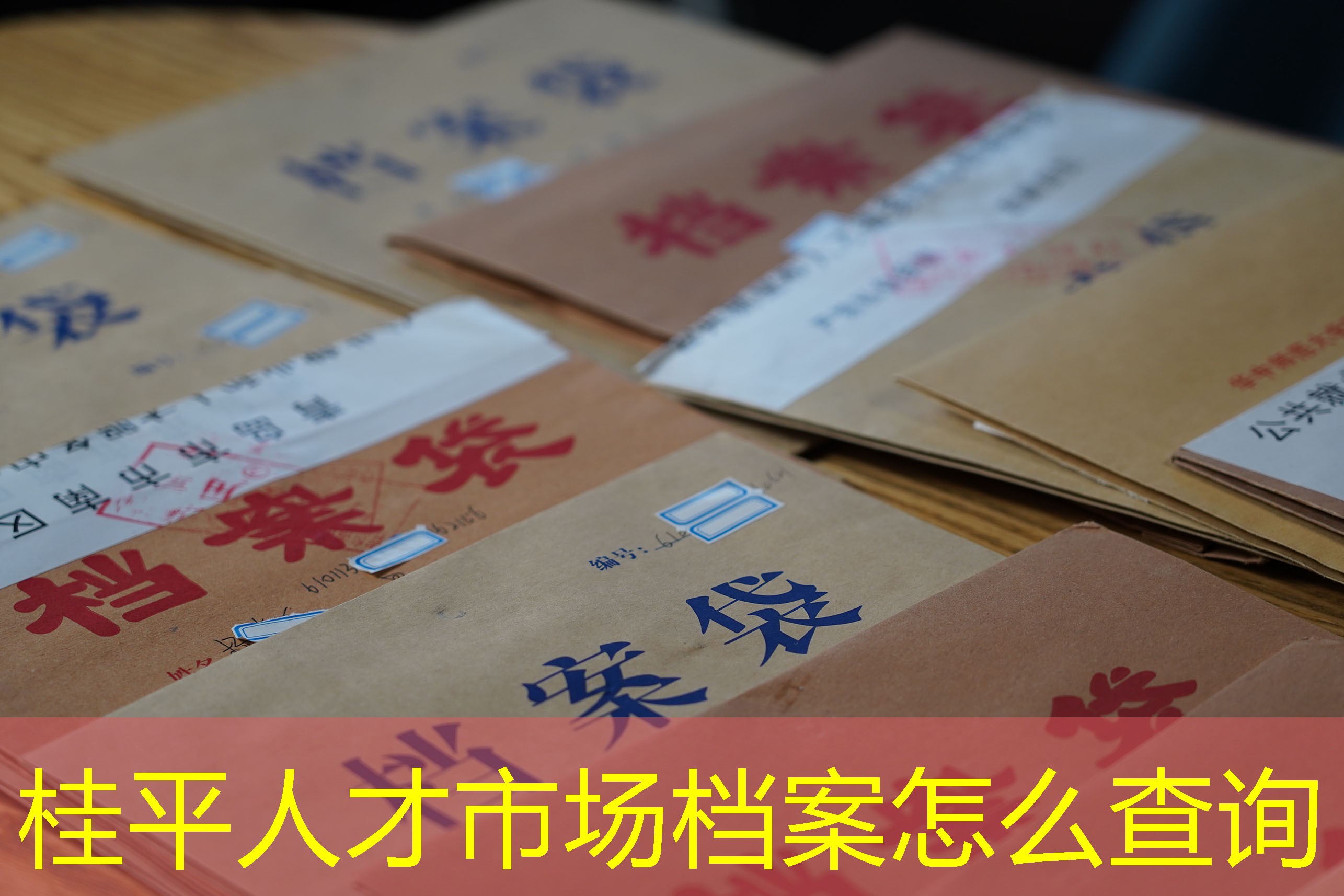 档案查询