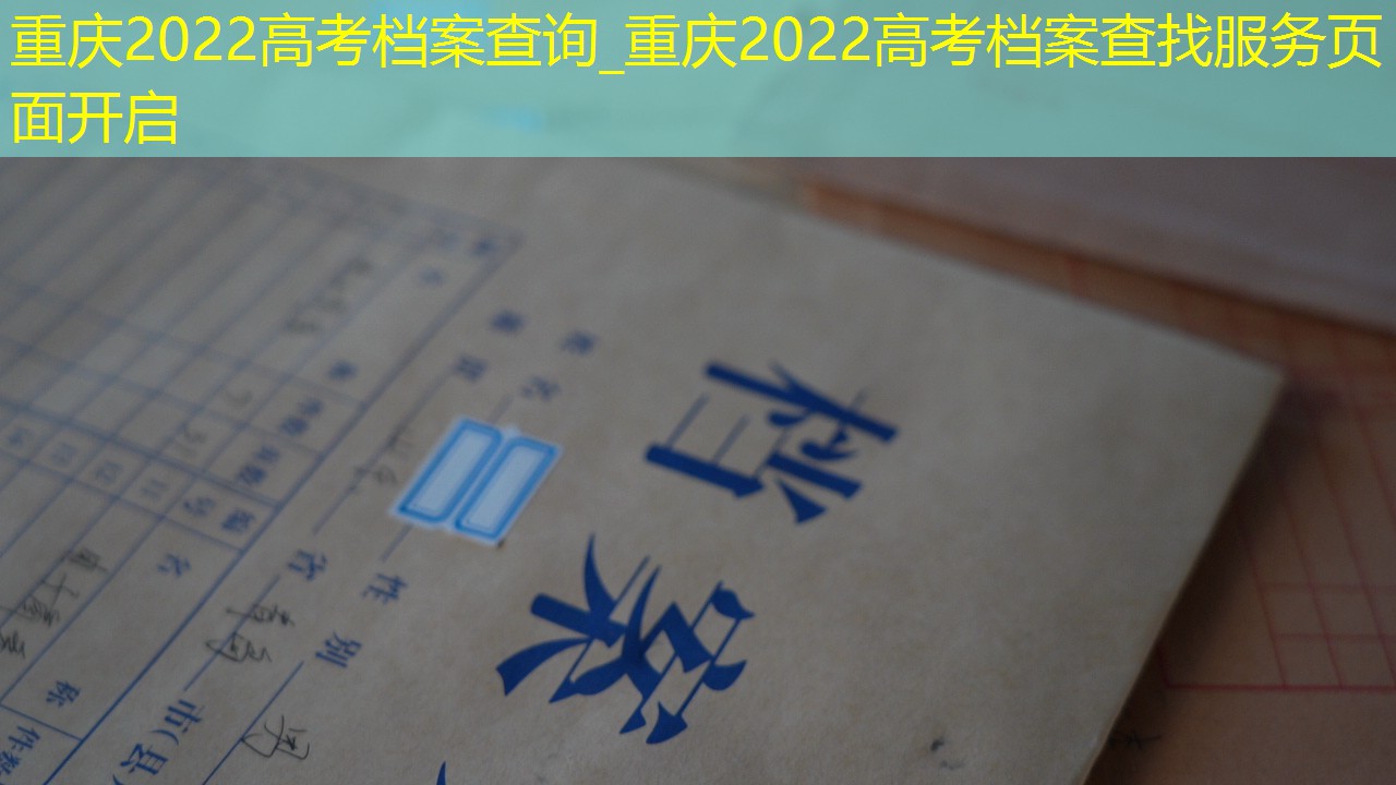 档案查询