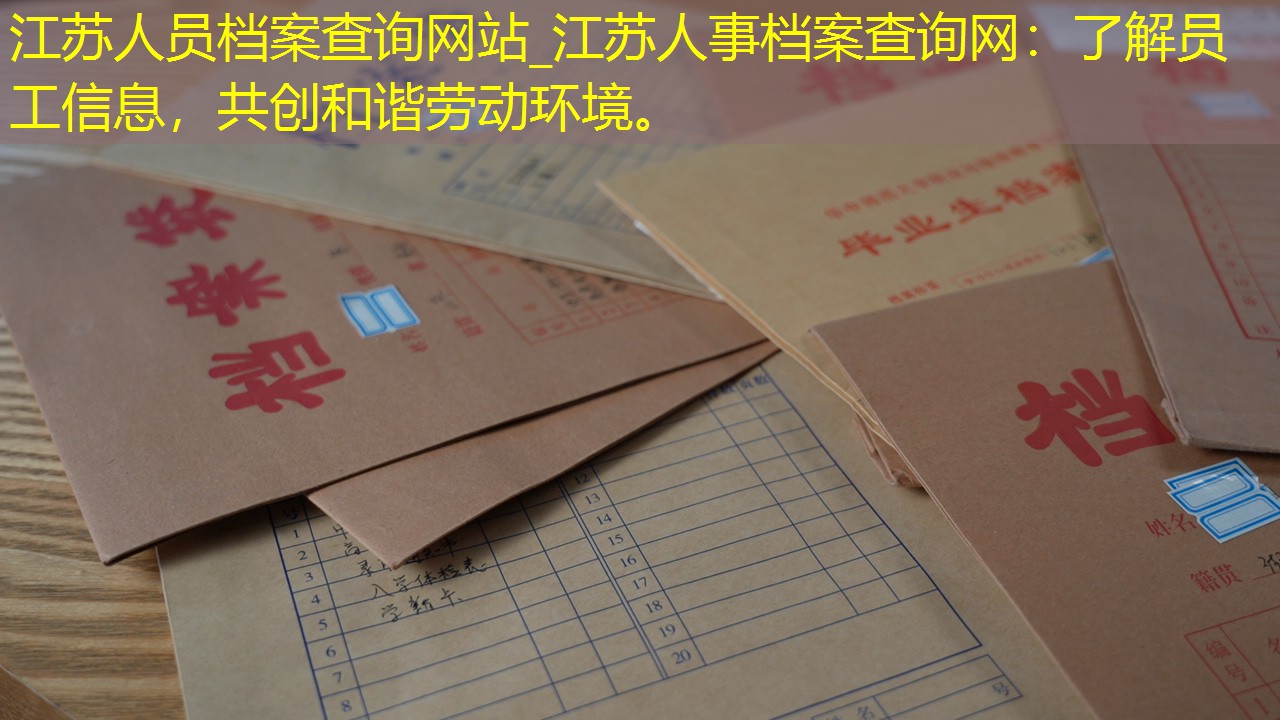 档案查询