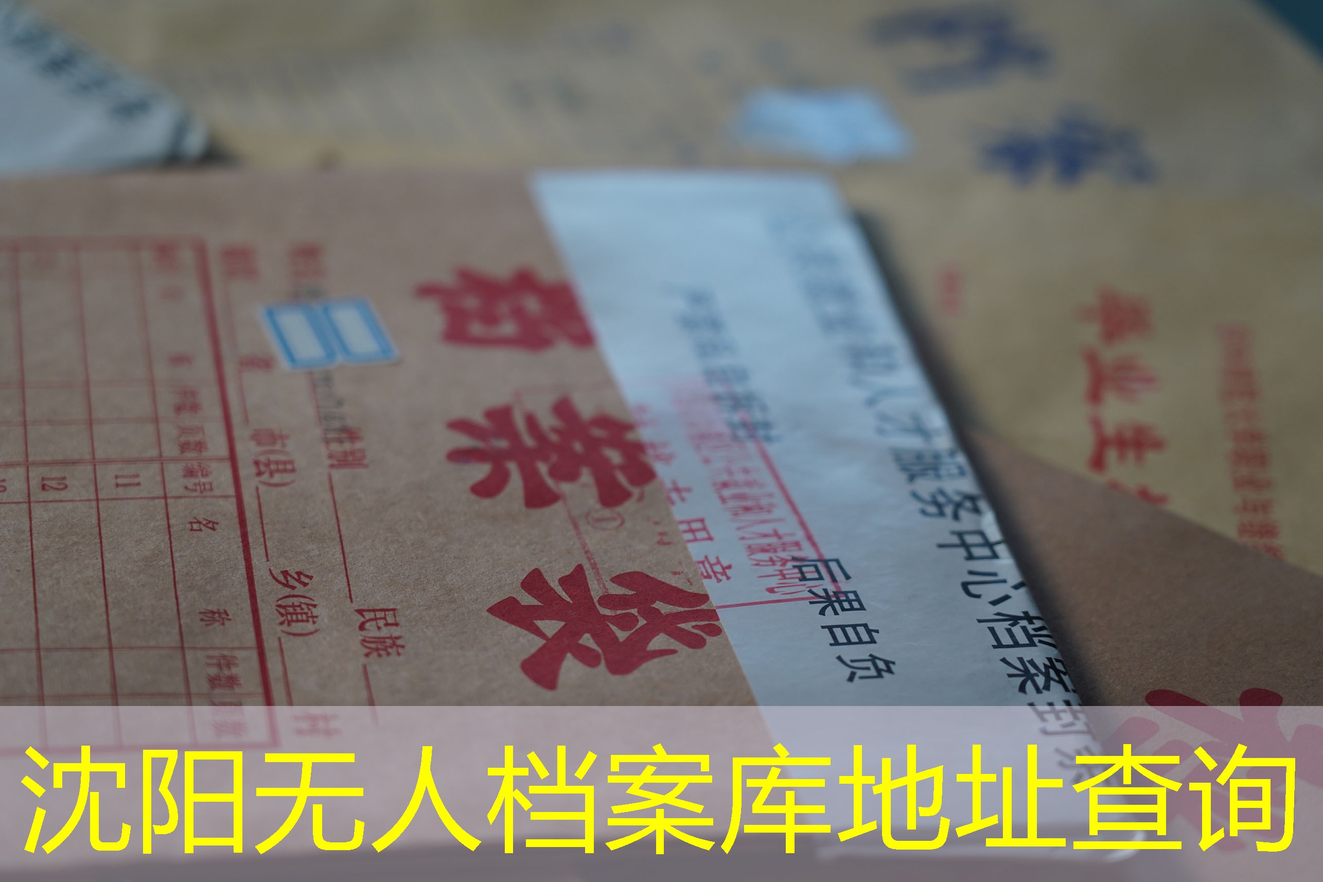 档案查询