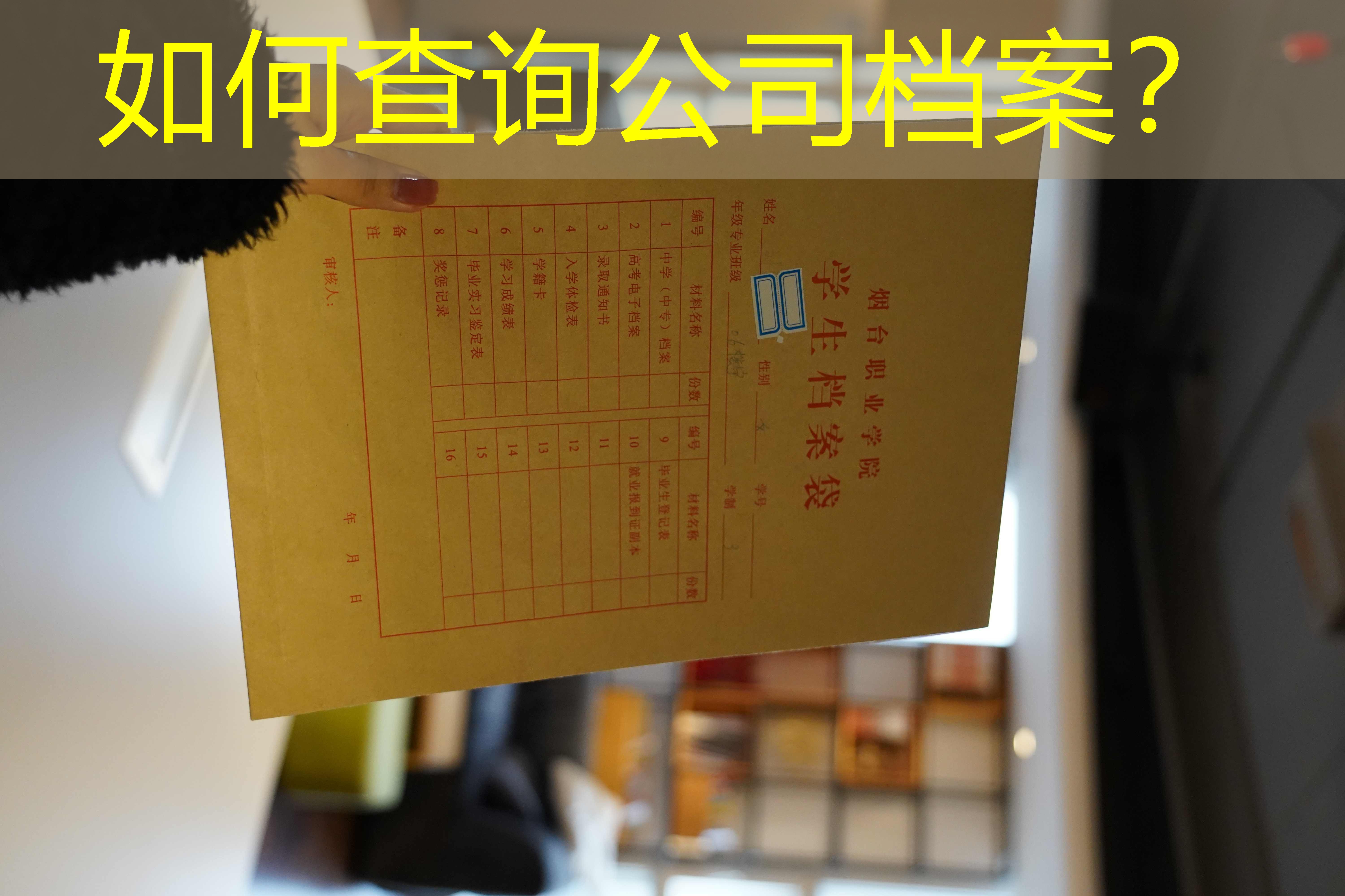 档案查询