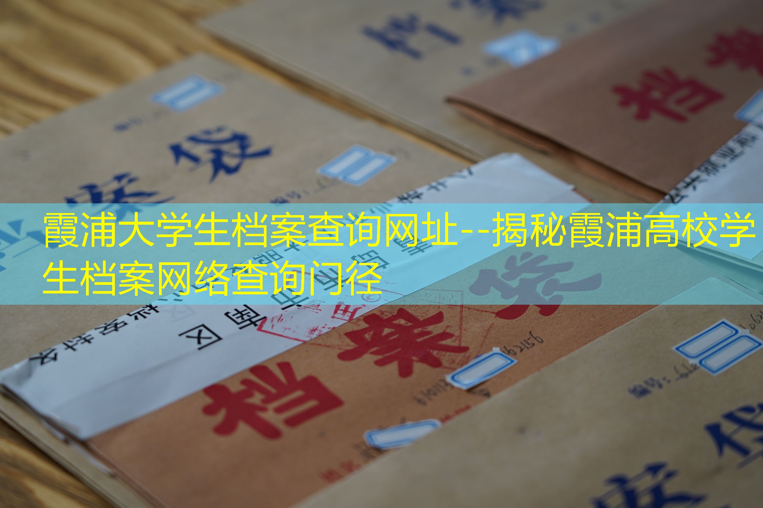 档案查询