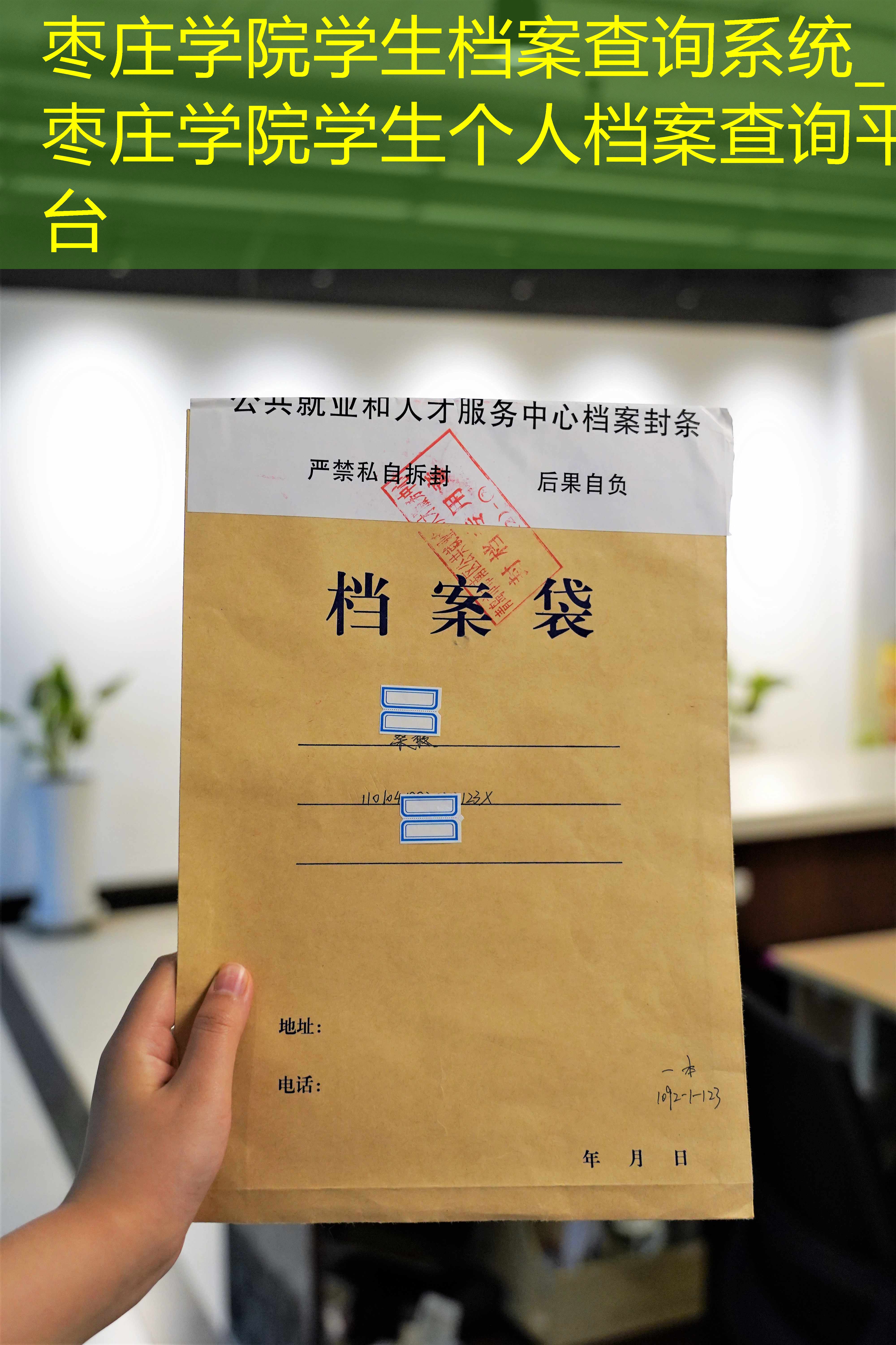 档案查询