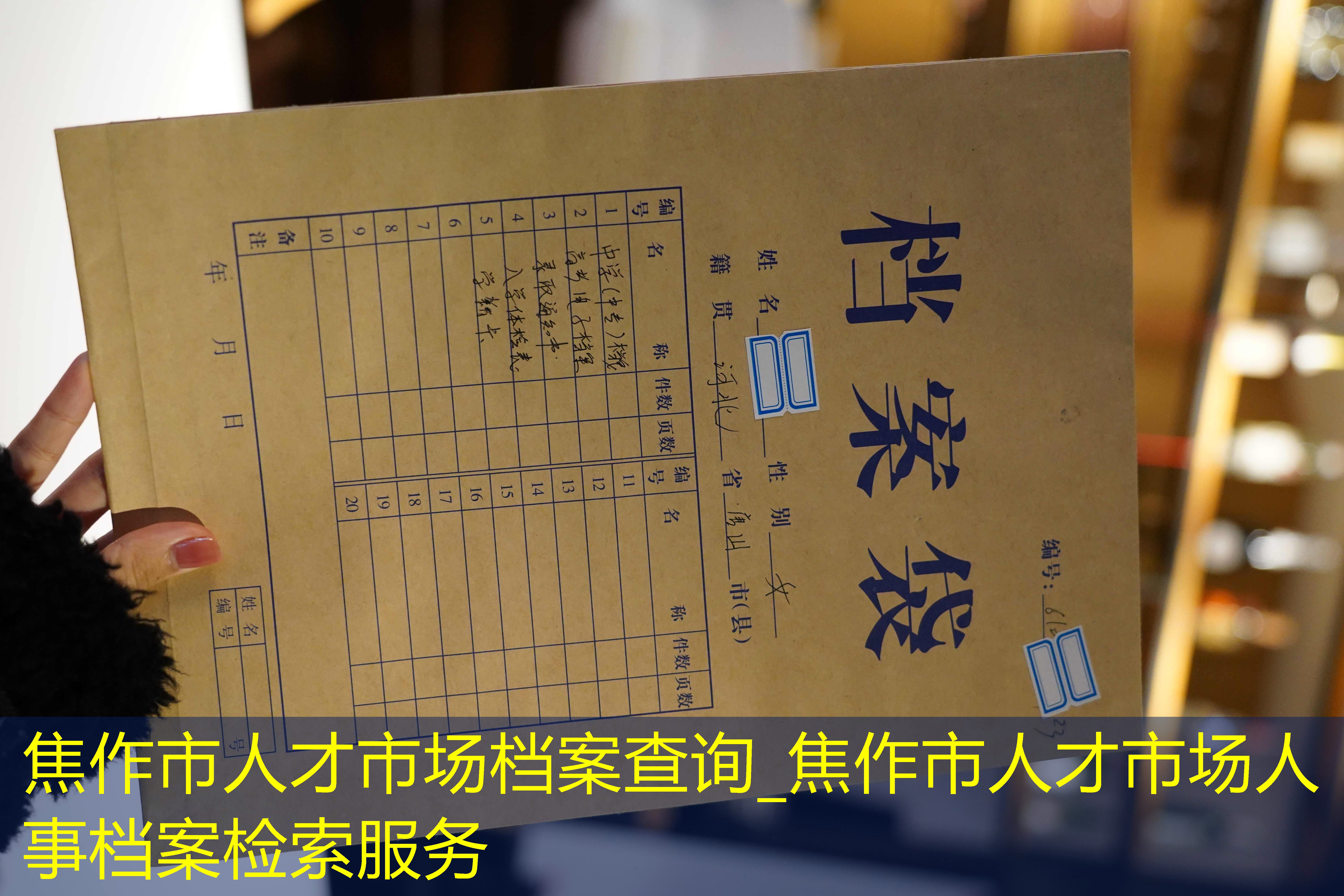 档案查询