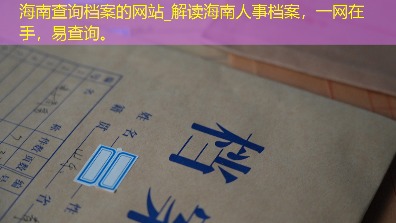 档案查询