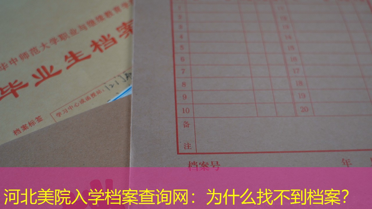 档案查询