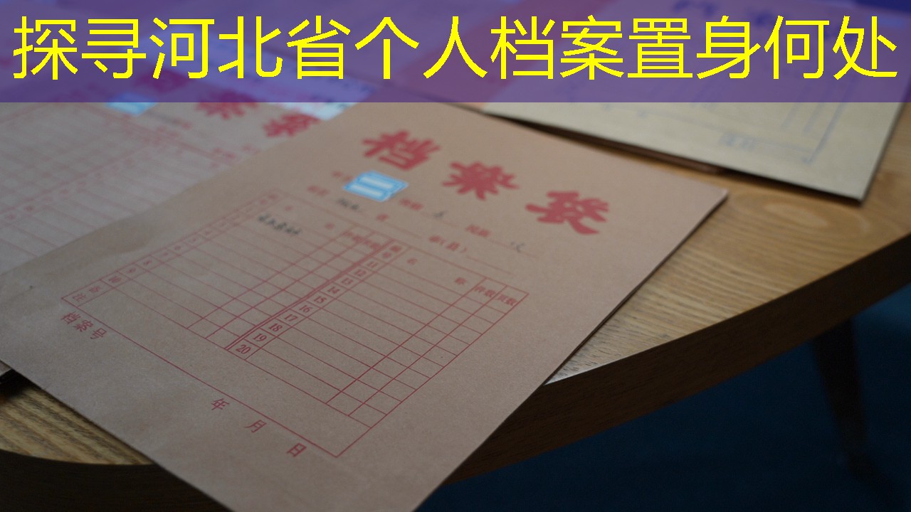 档案查询