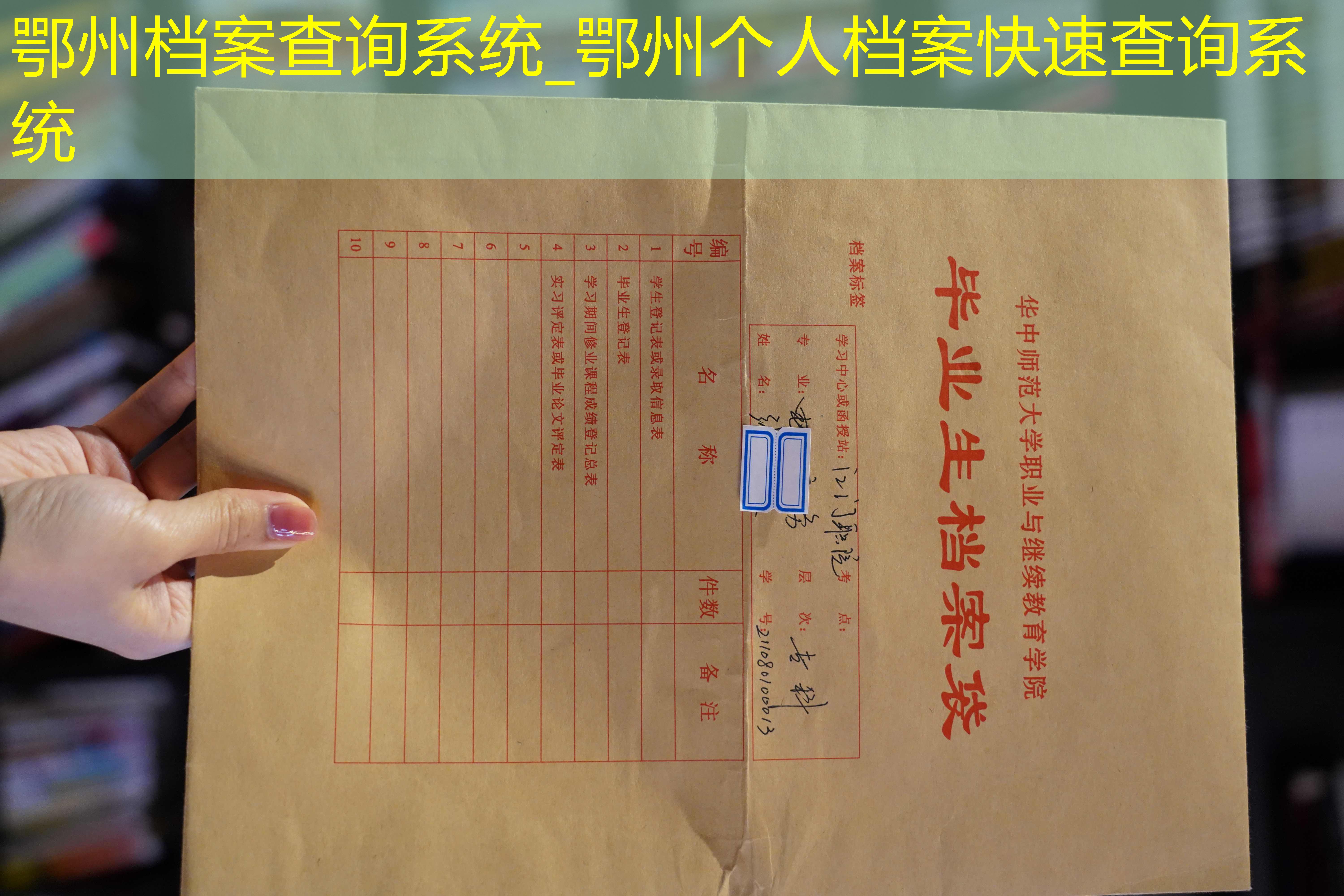 档案查询