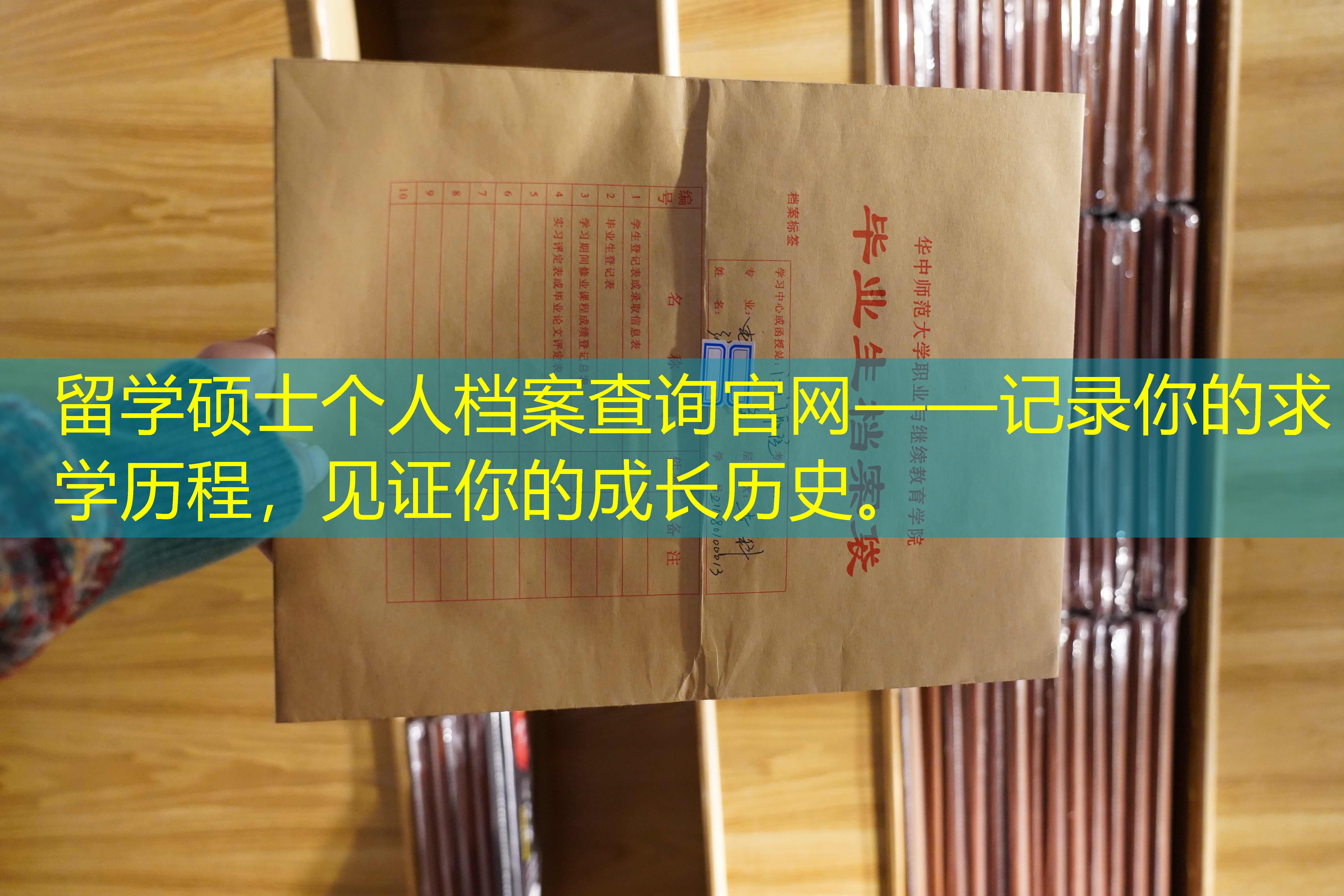 档案查询