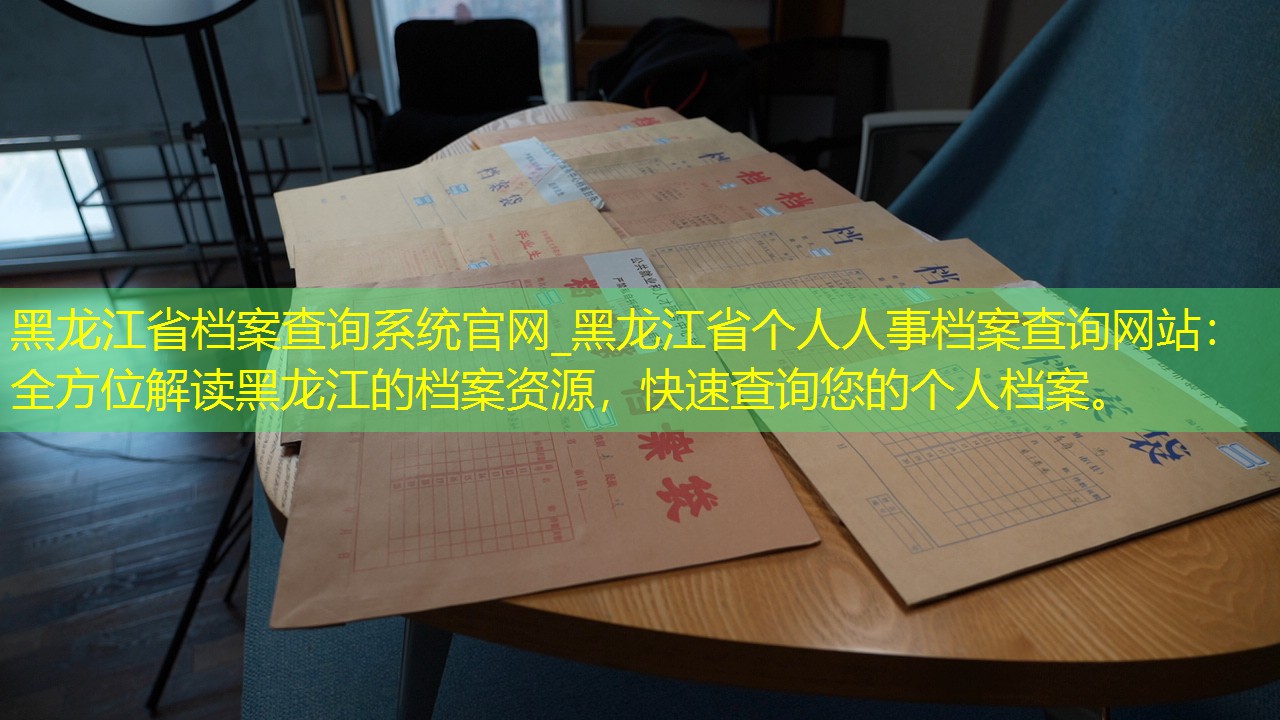 档案查询