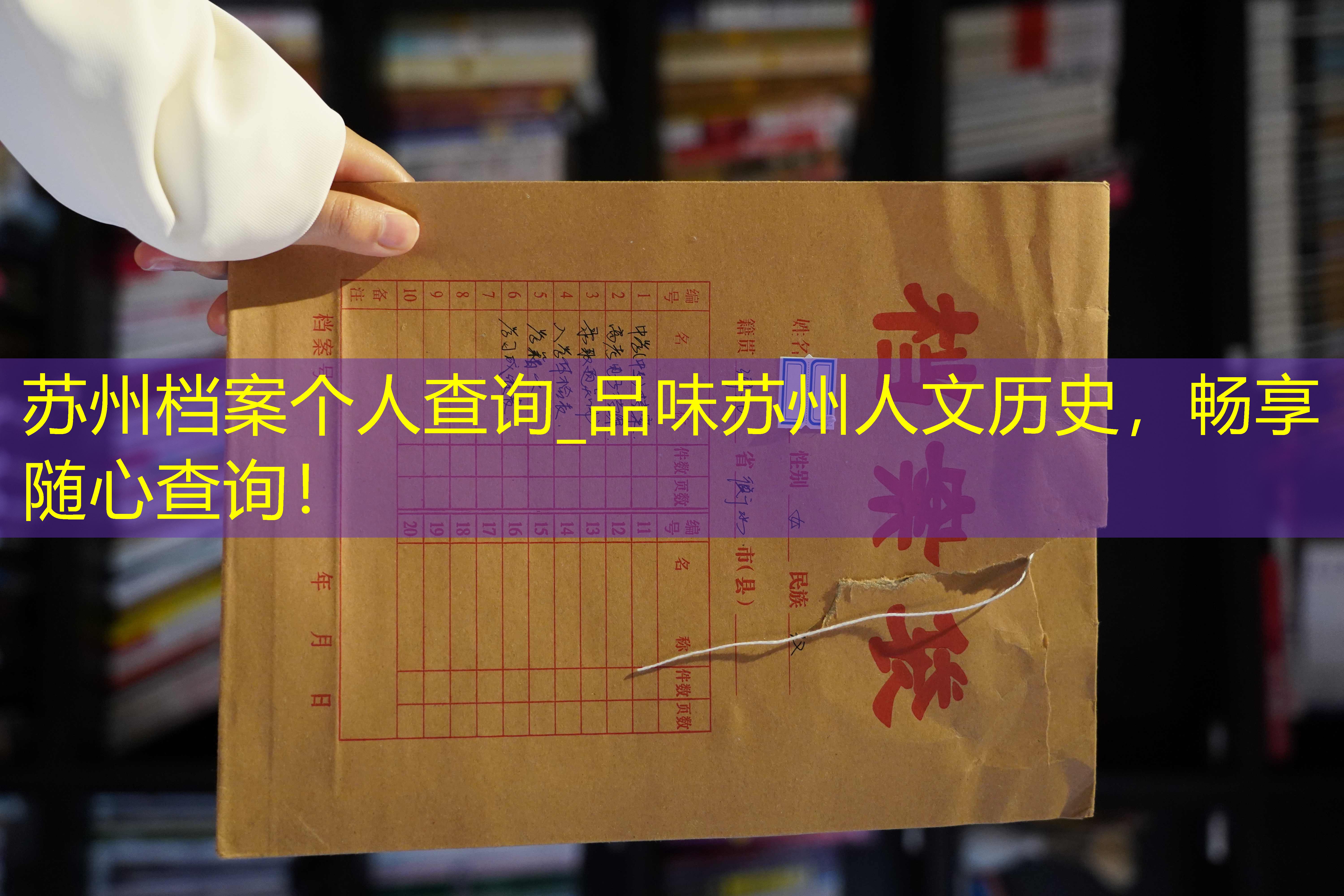 档案查询
