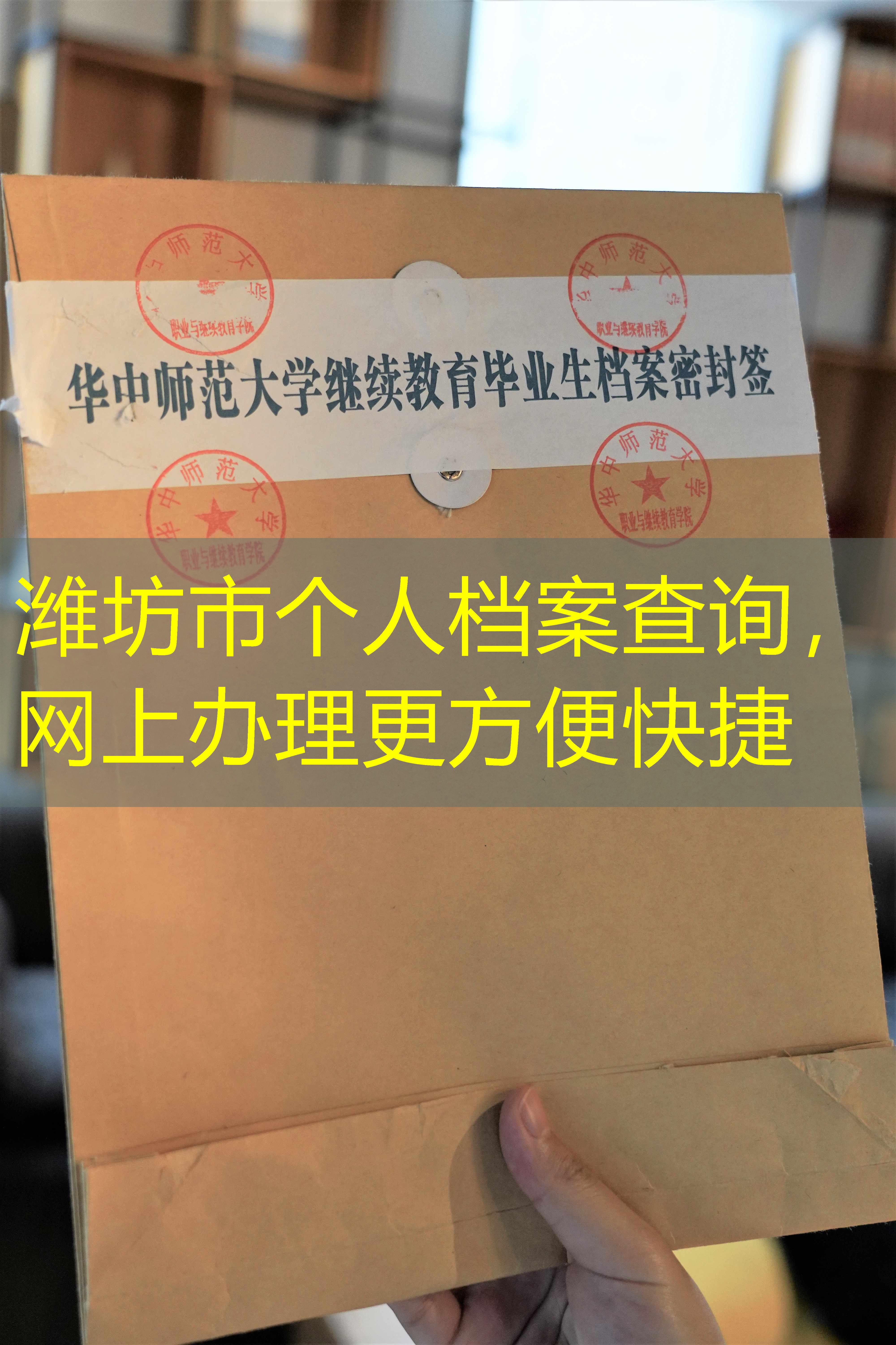 档案查询