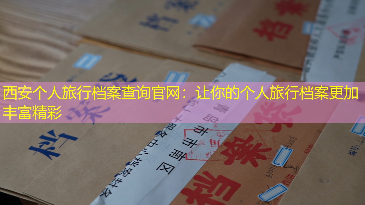 档案查询