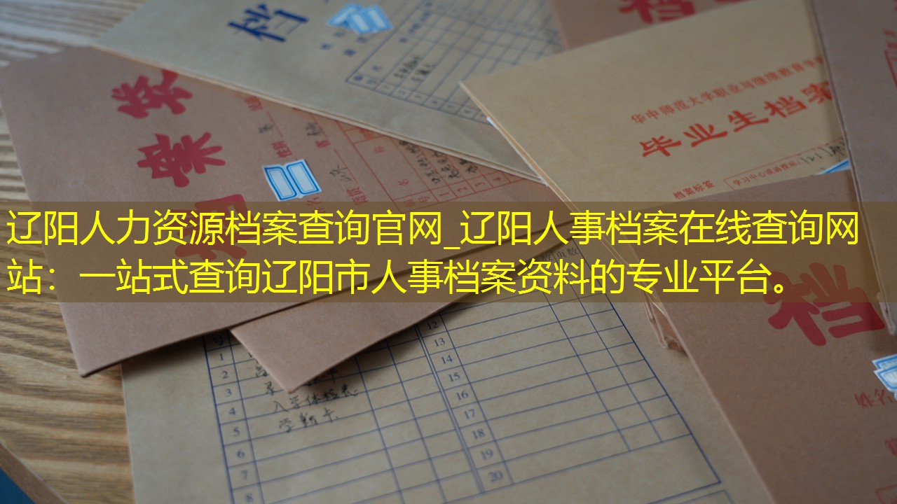 档案查询