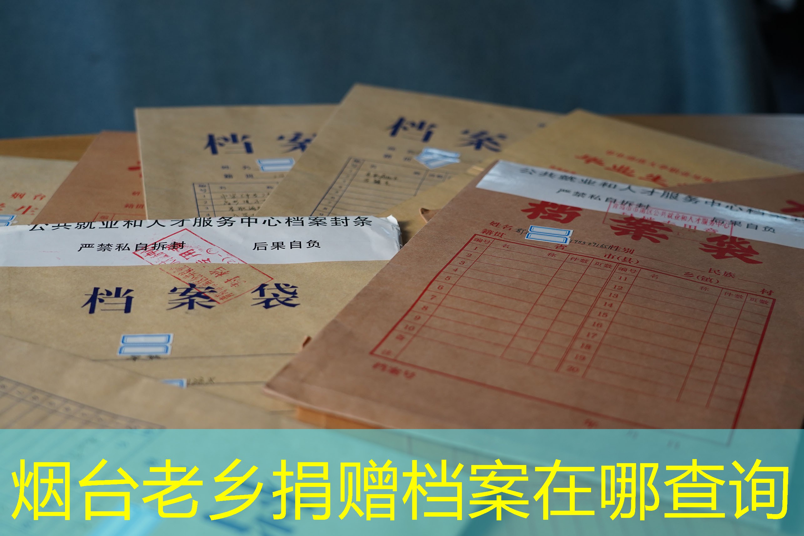 档案查询