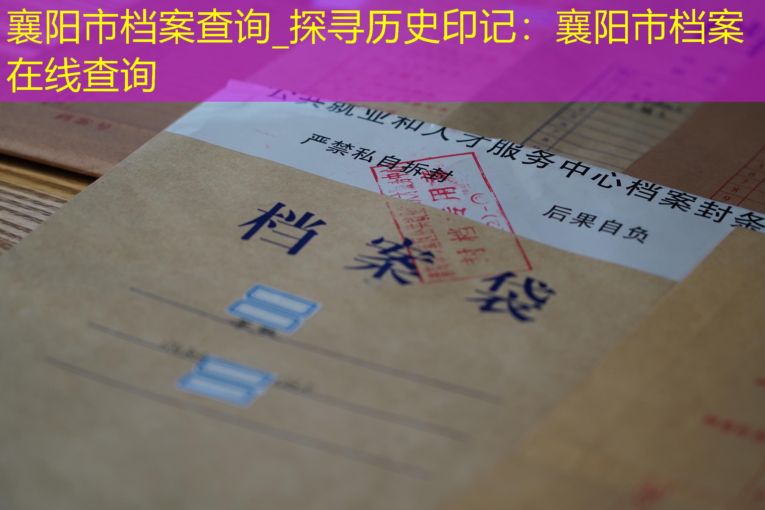 档案查询