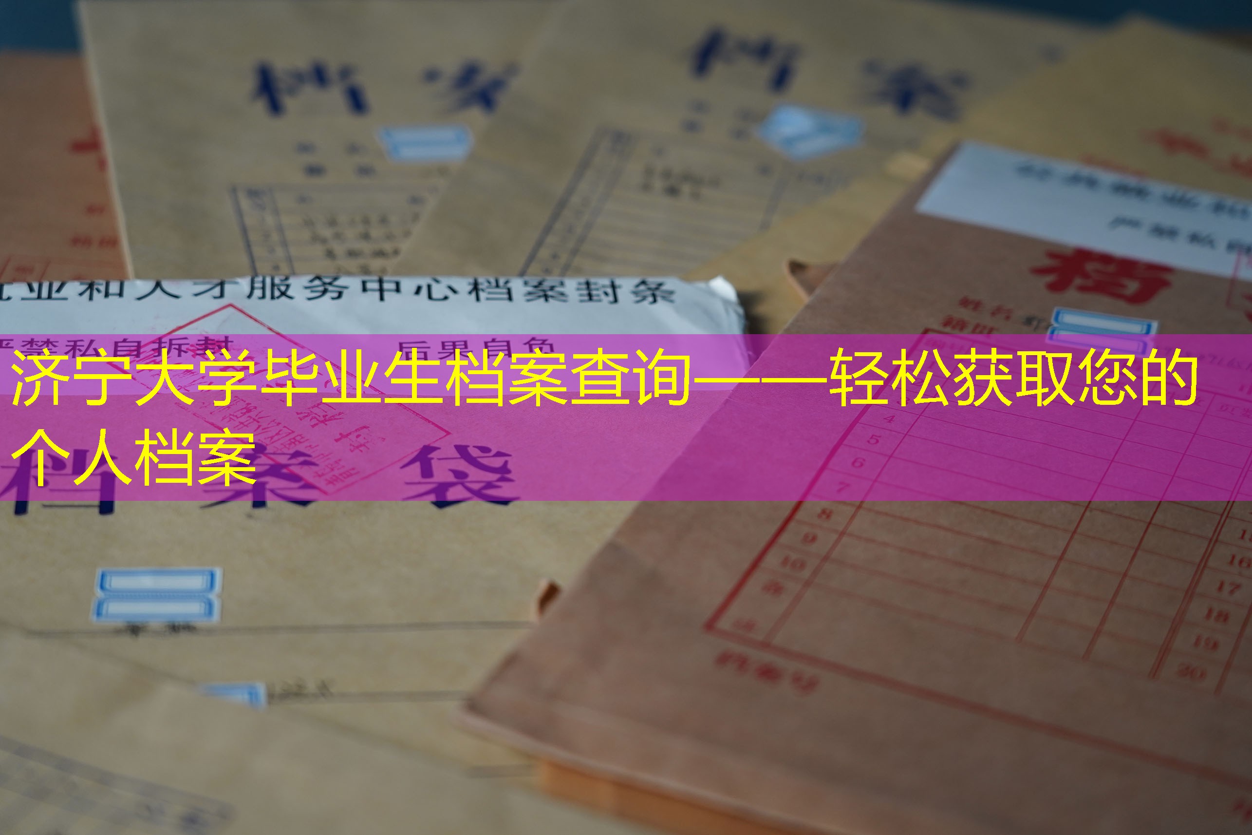 档案查询