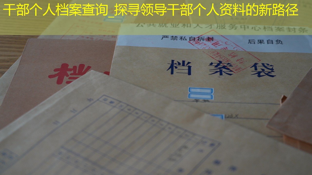 档案查询