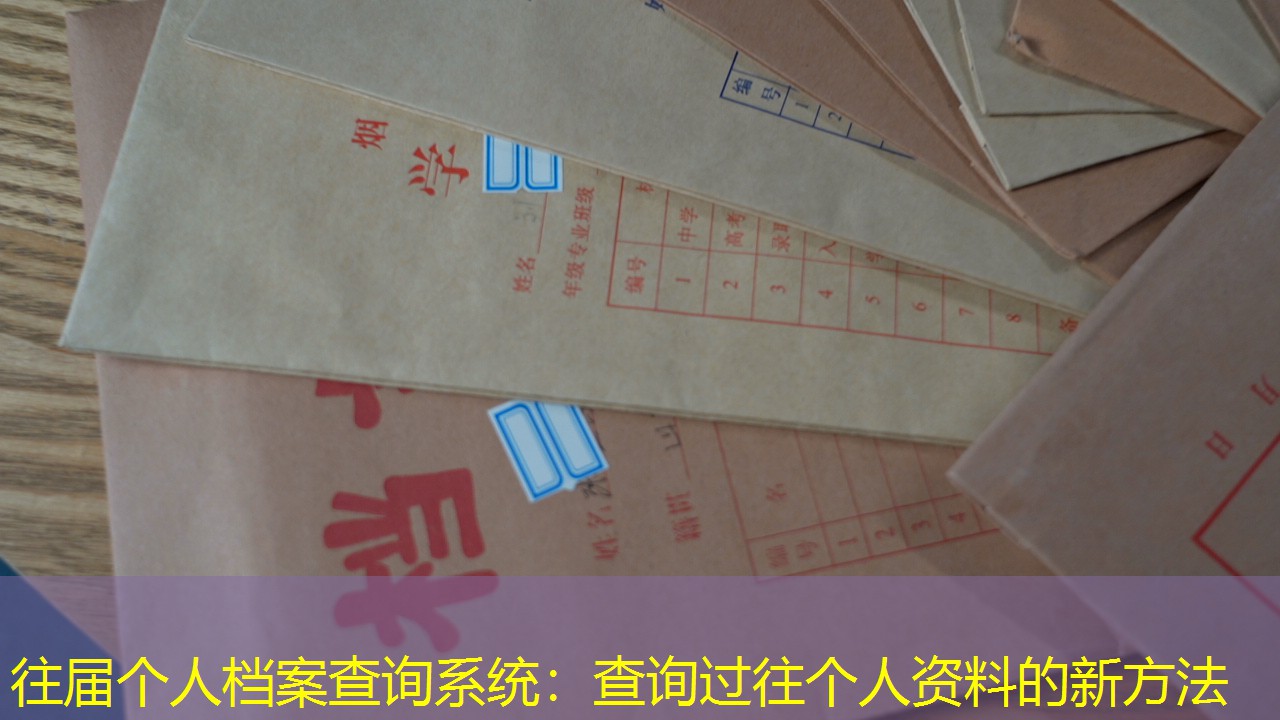 档案查询