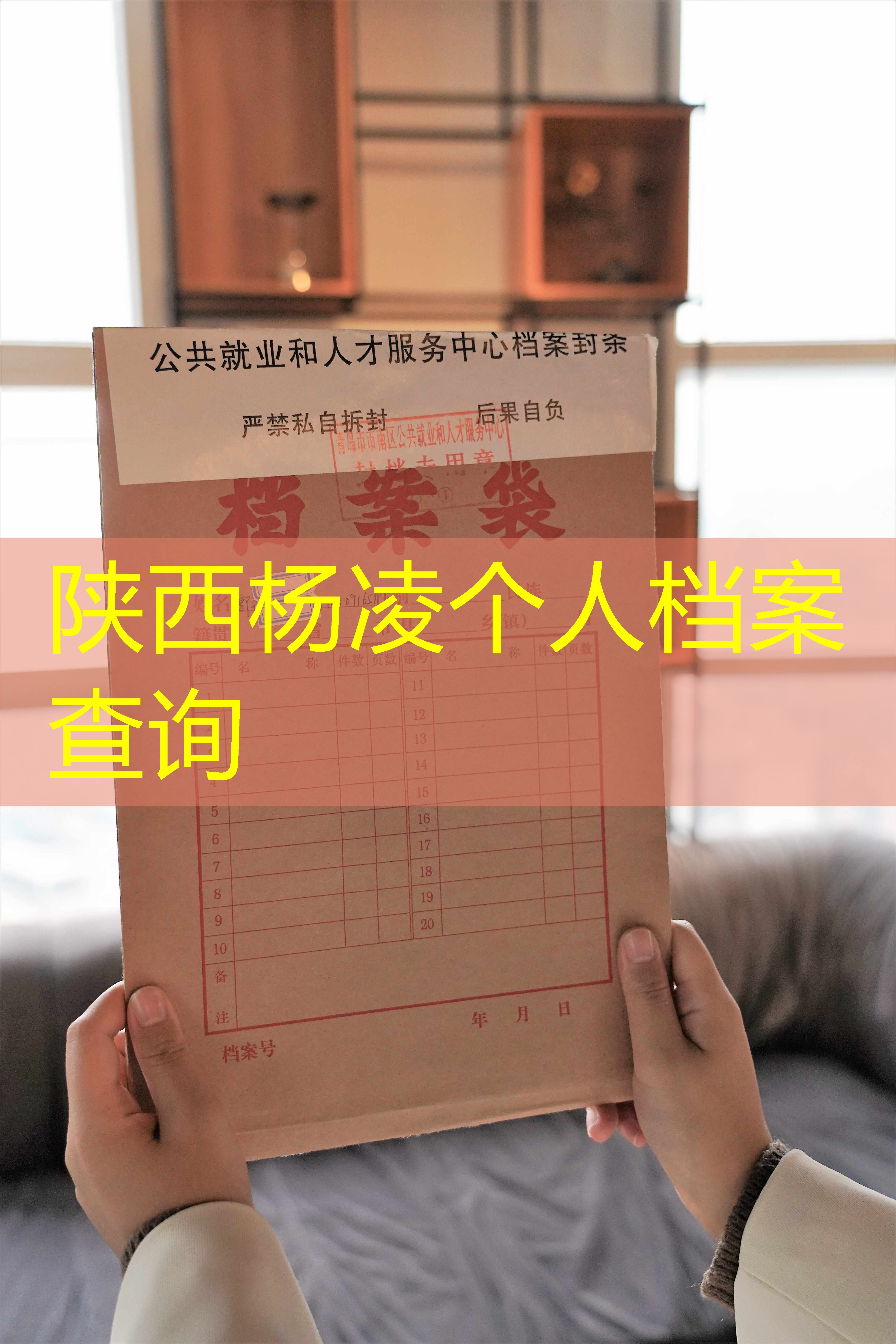 档案查询