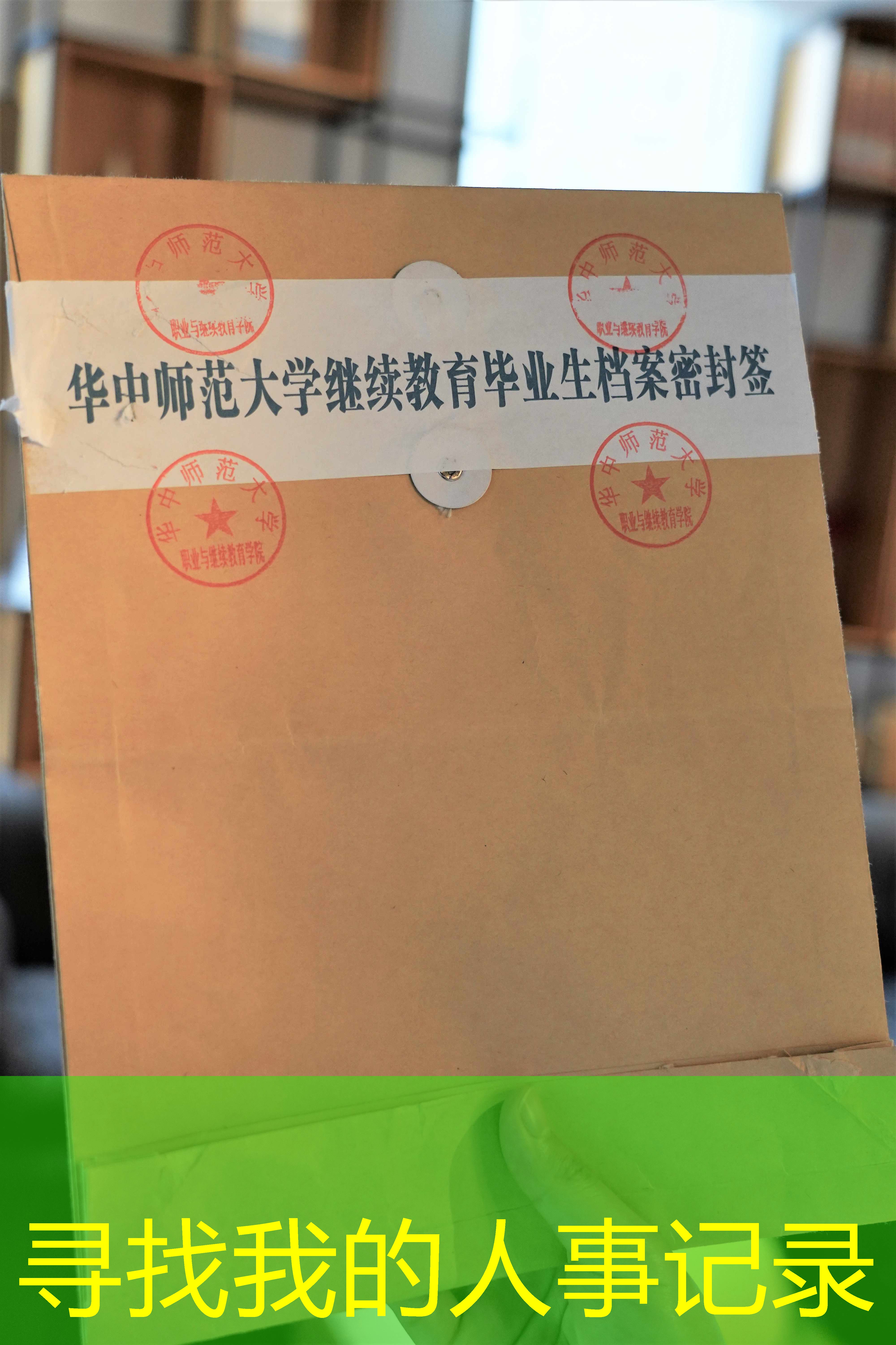 档案查询