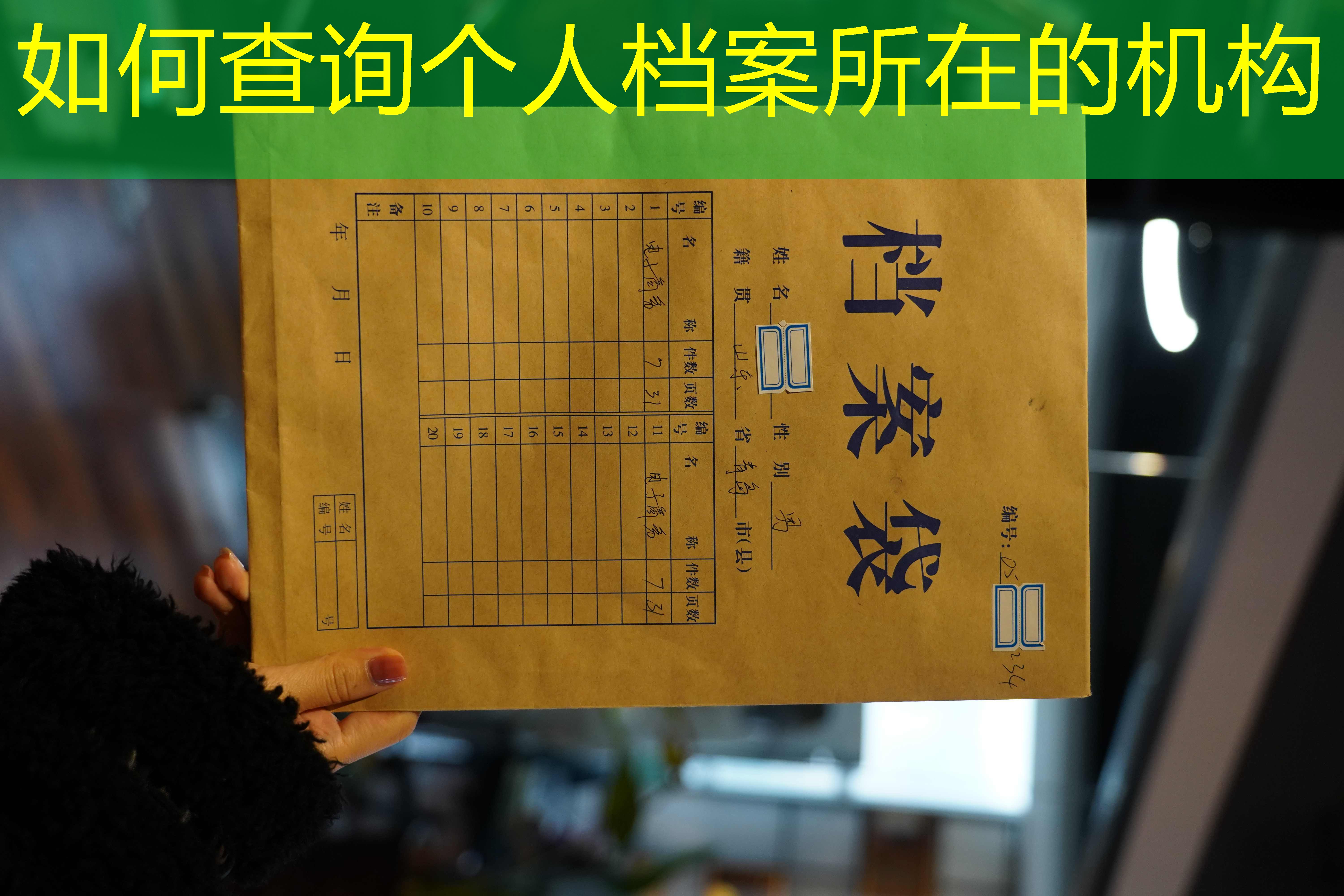 档案查询