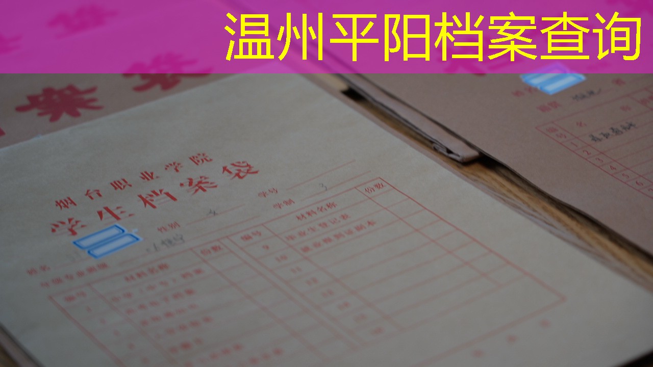 档案查询