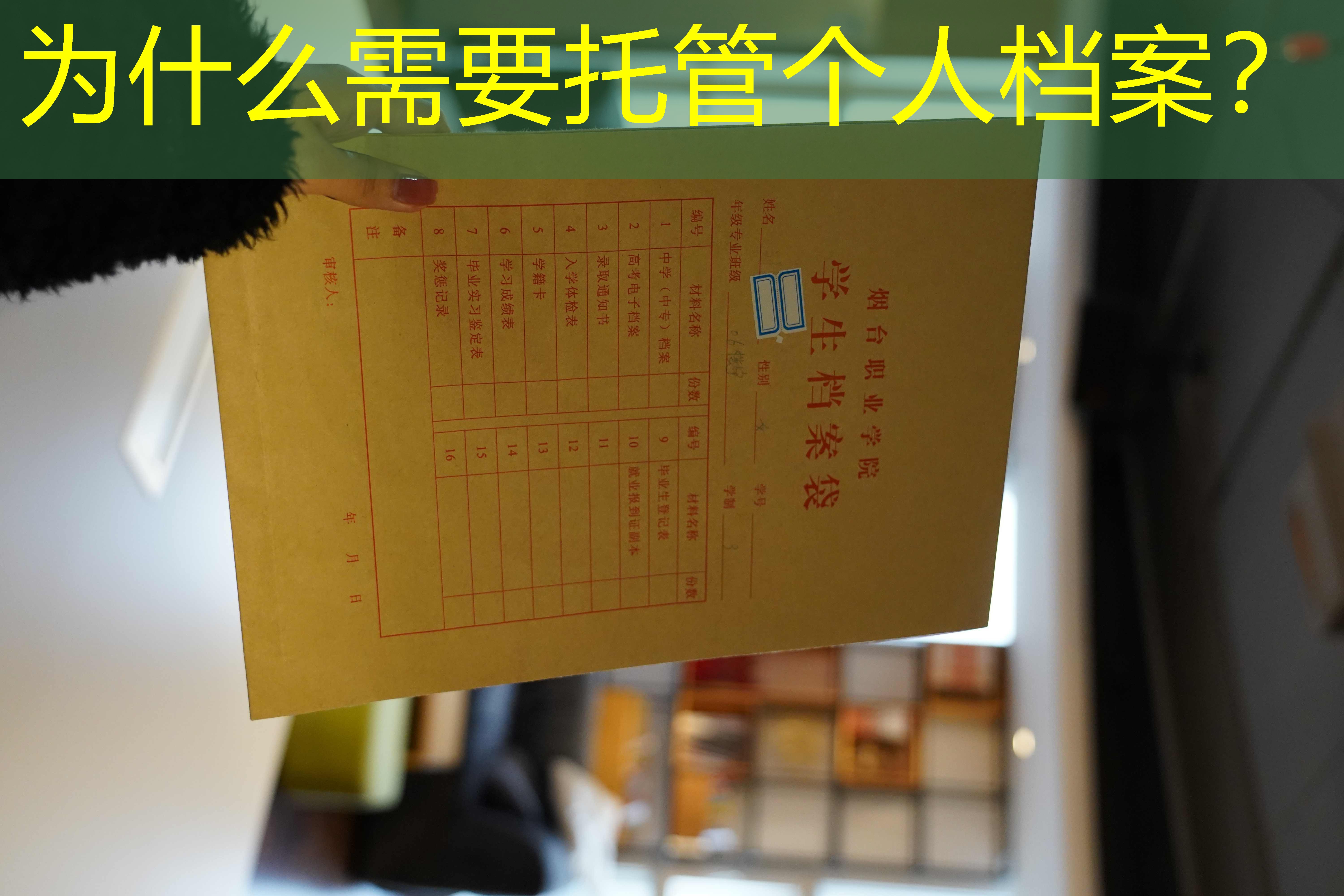 档案查询