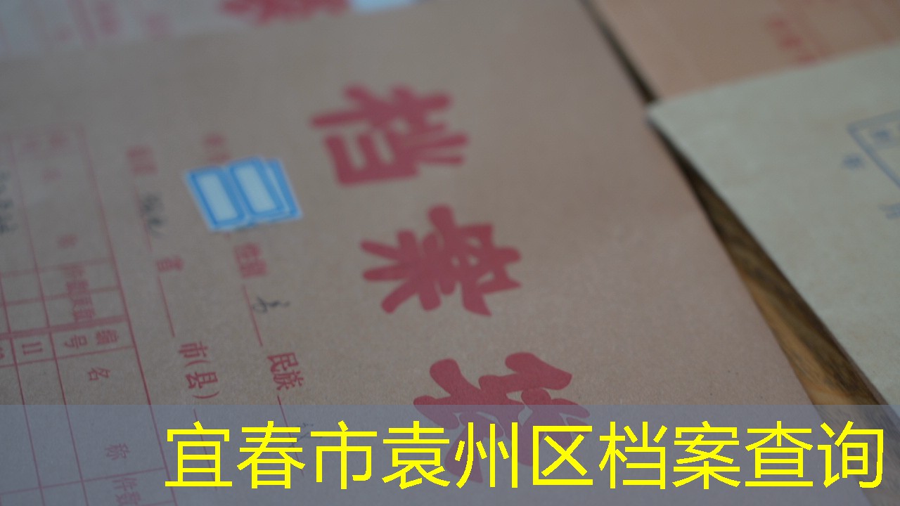 档案查询