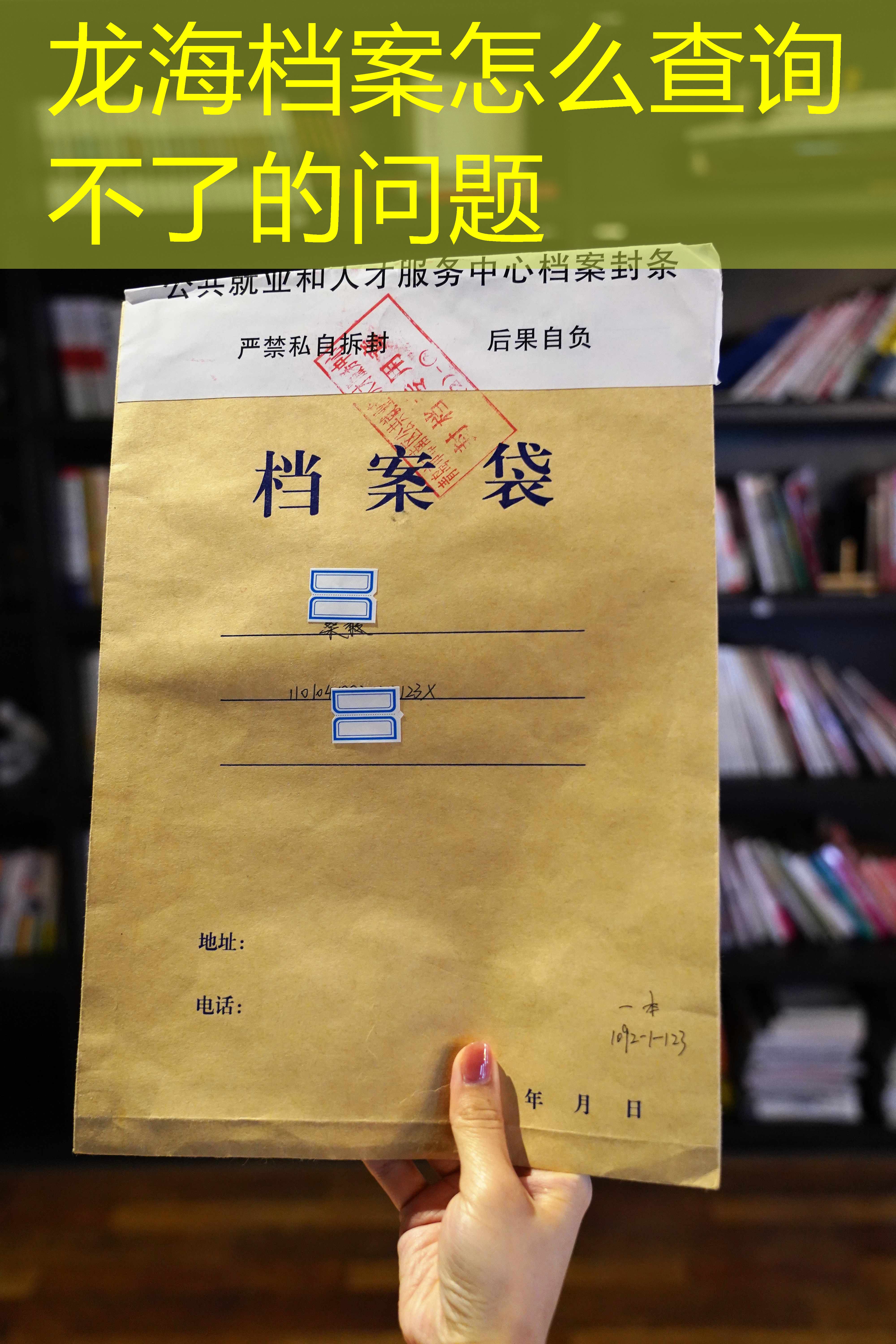档案查询