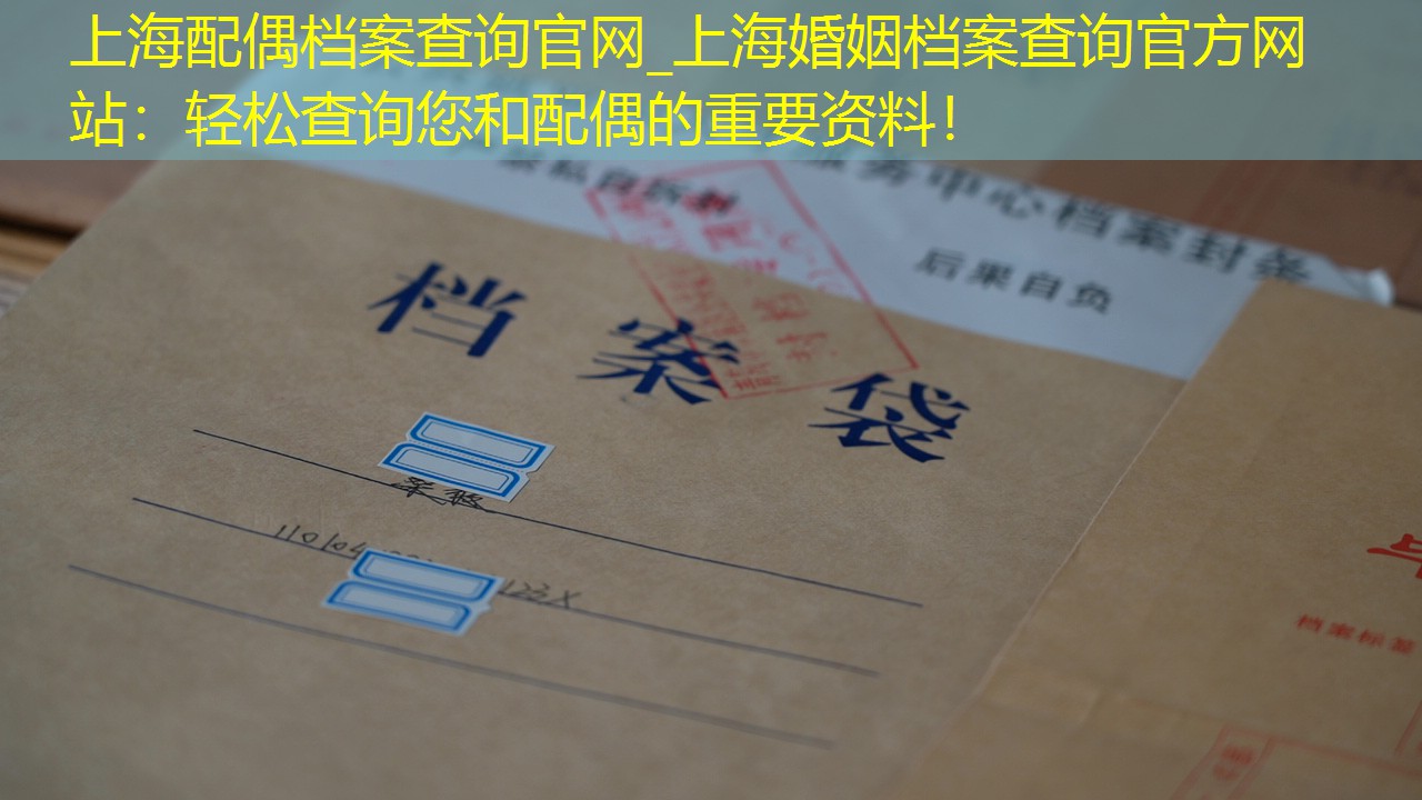 档案查询