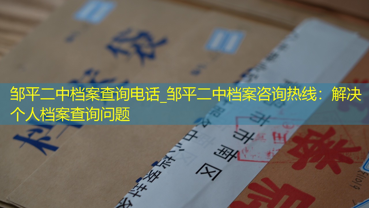 档案查询