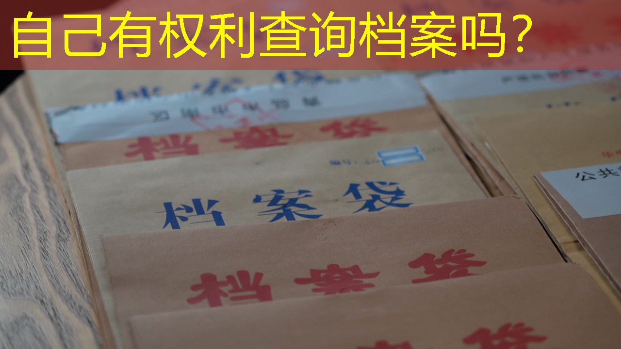 档案查询