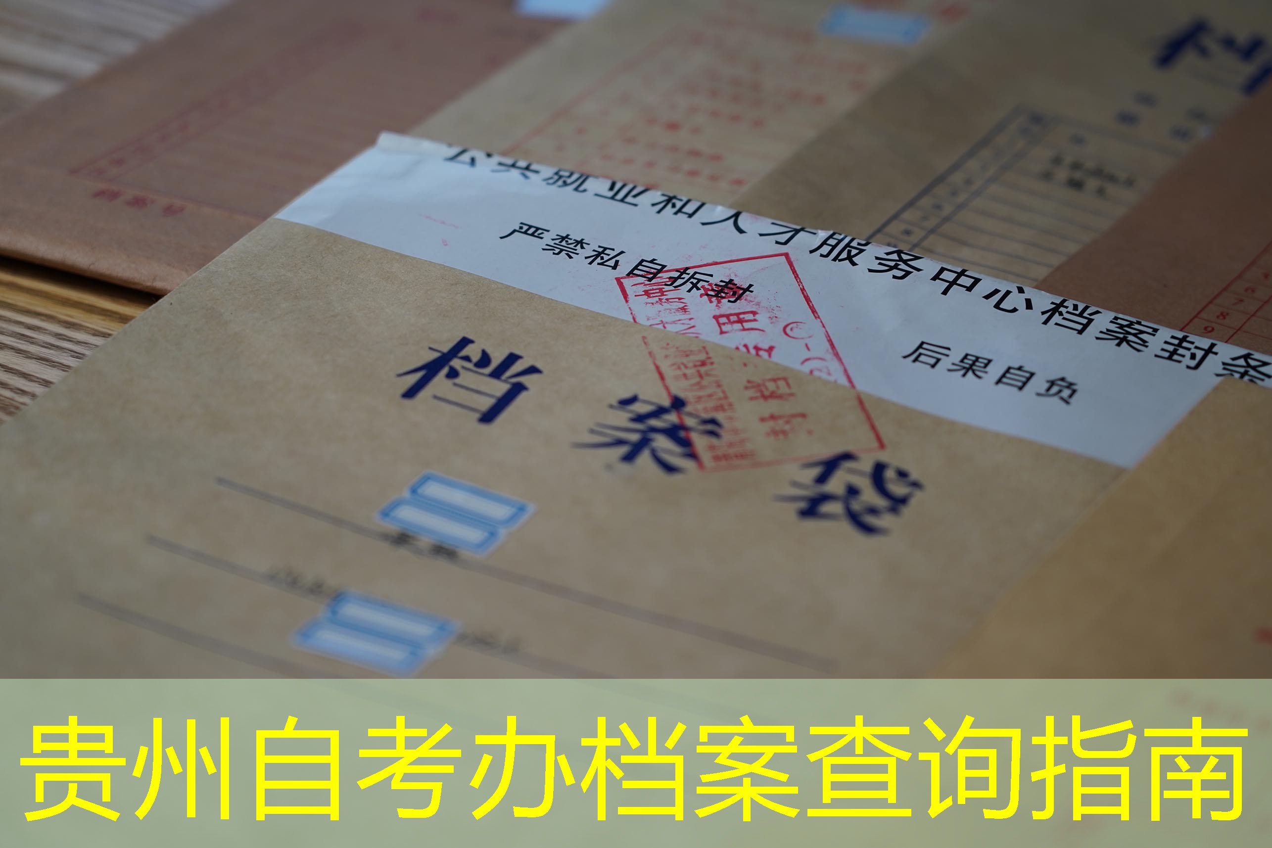 档案查询