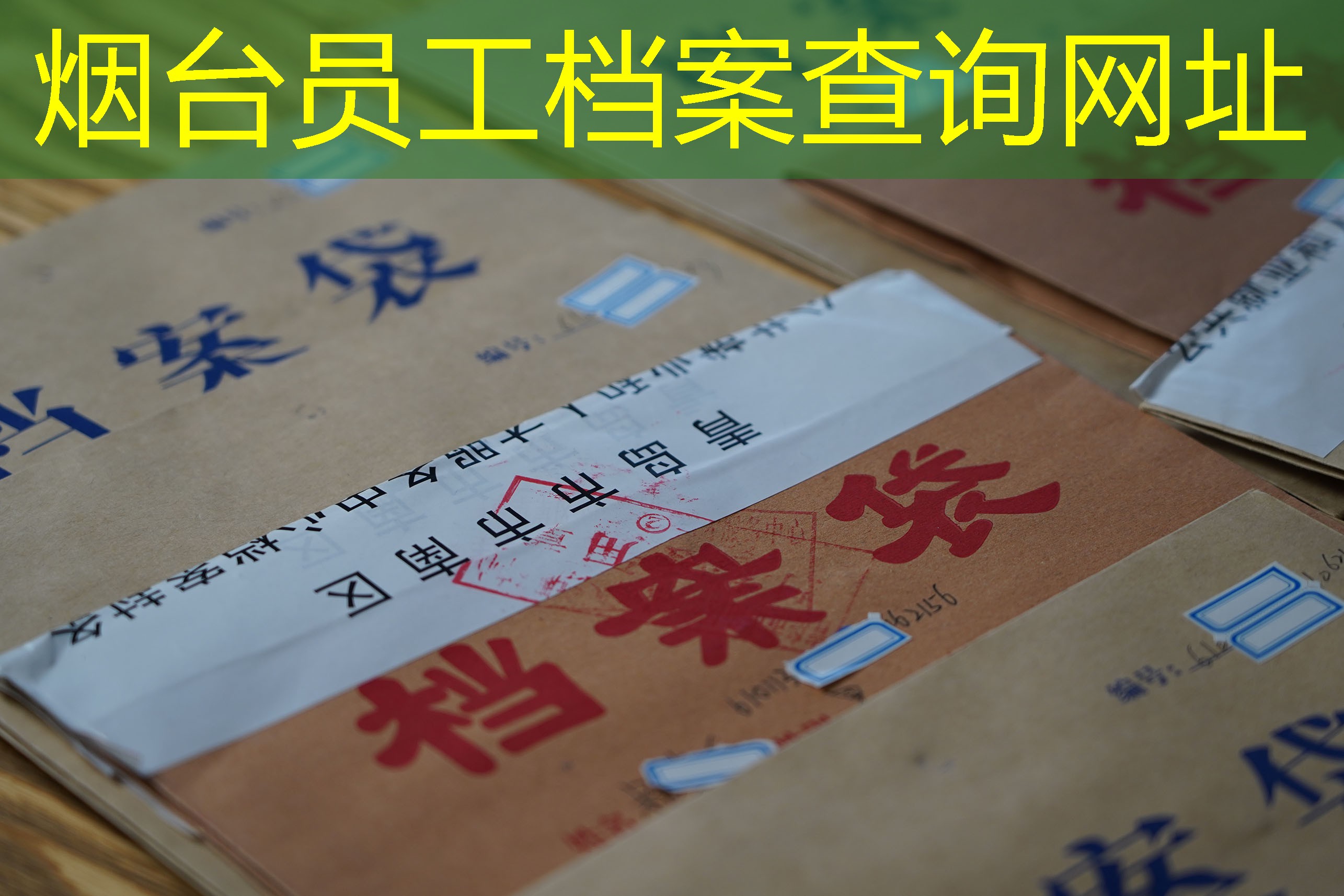 档案查询