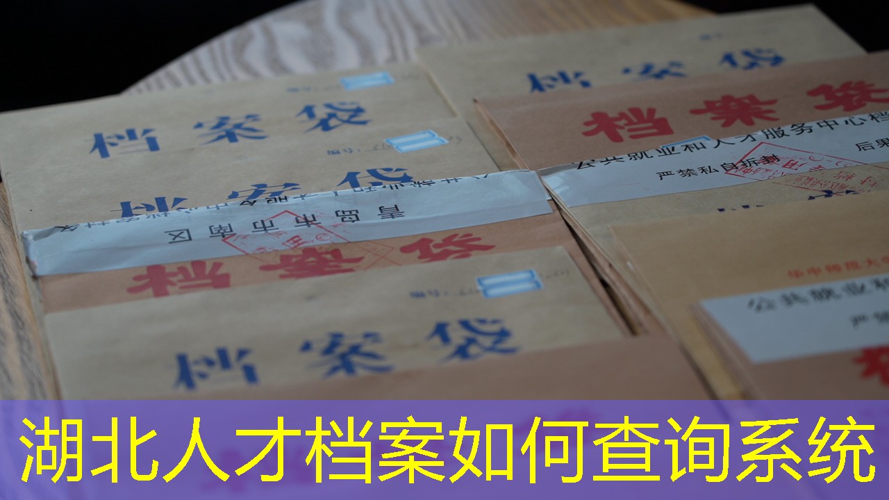 档案查询