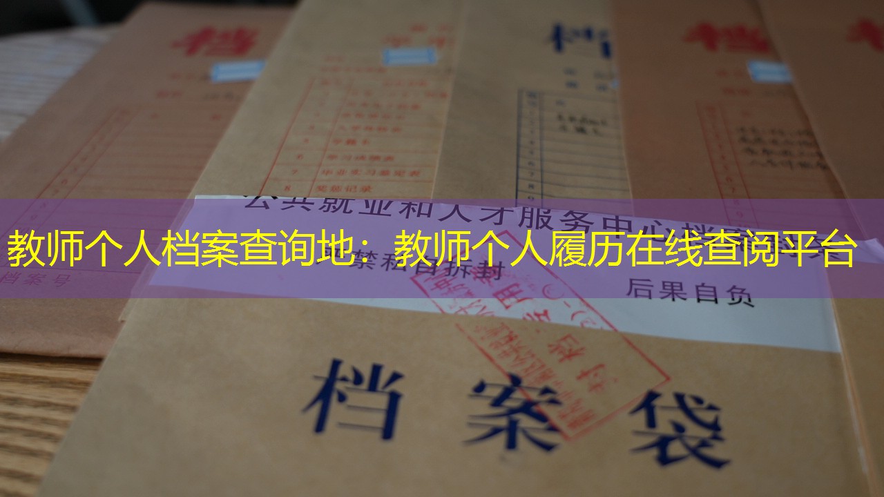 档案查询