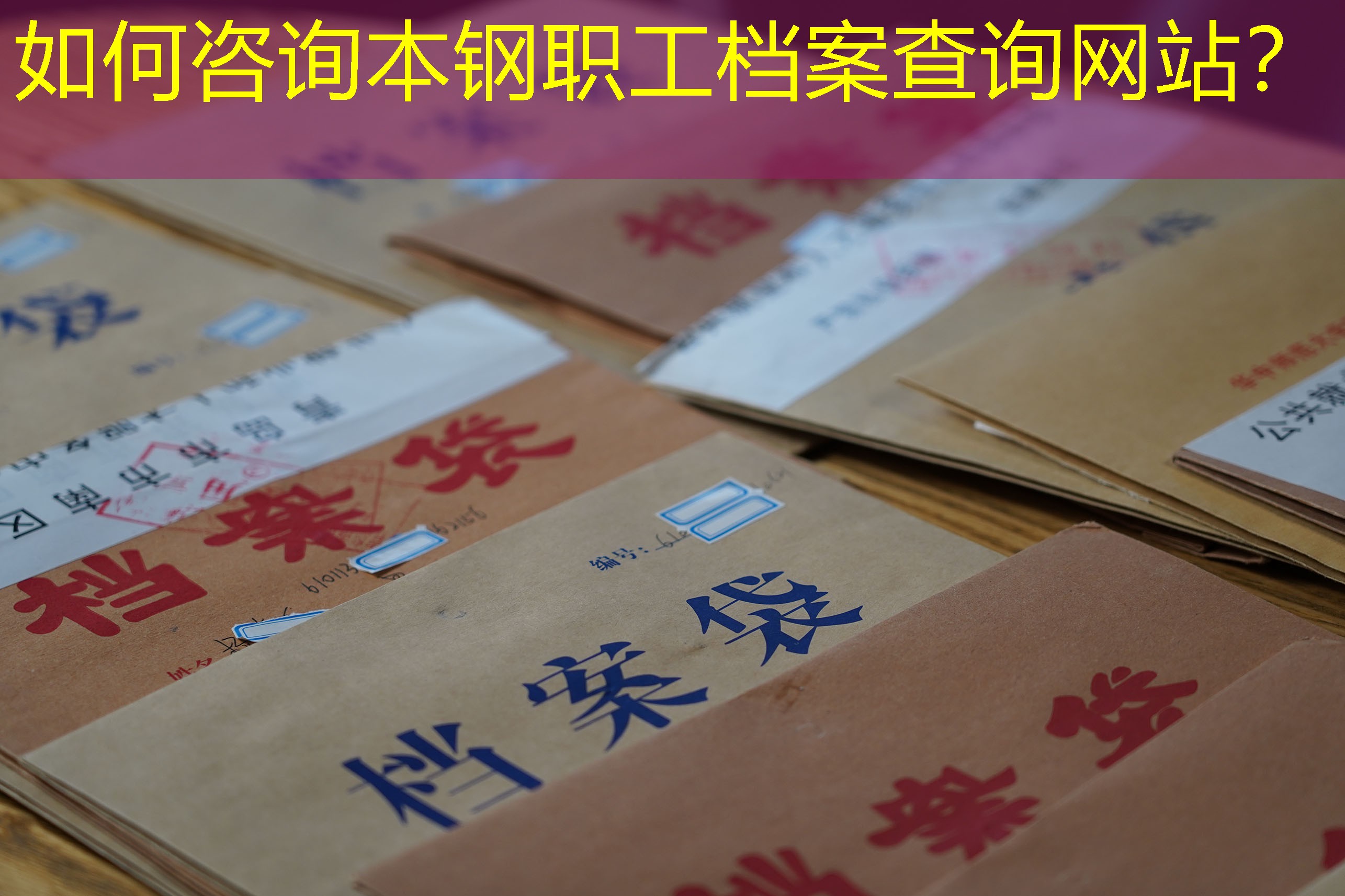 档案查询