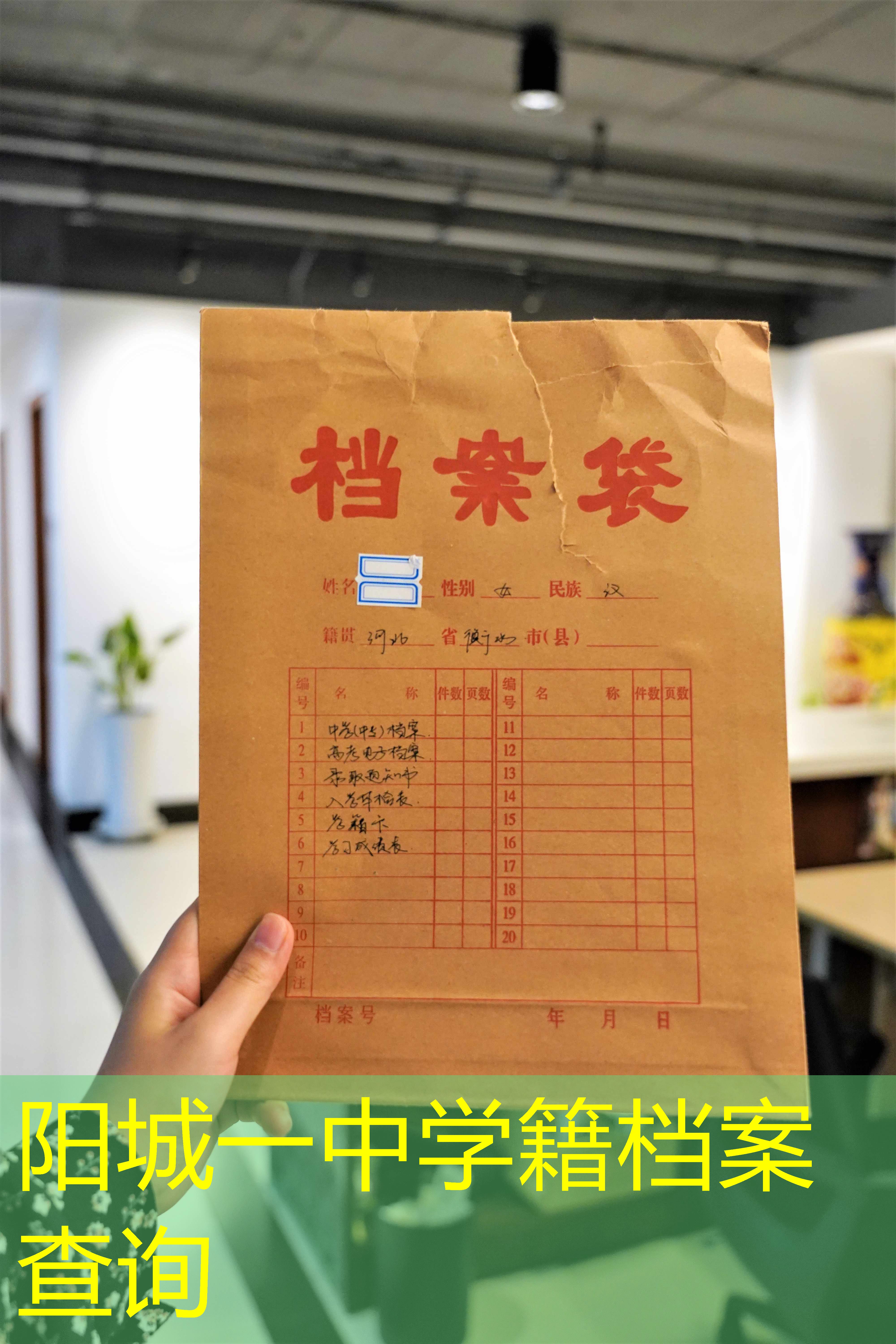 档案查询