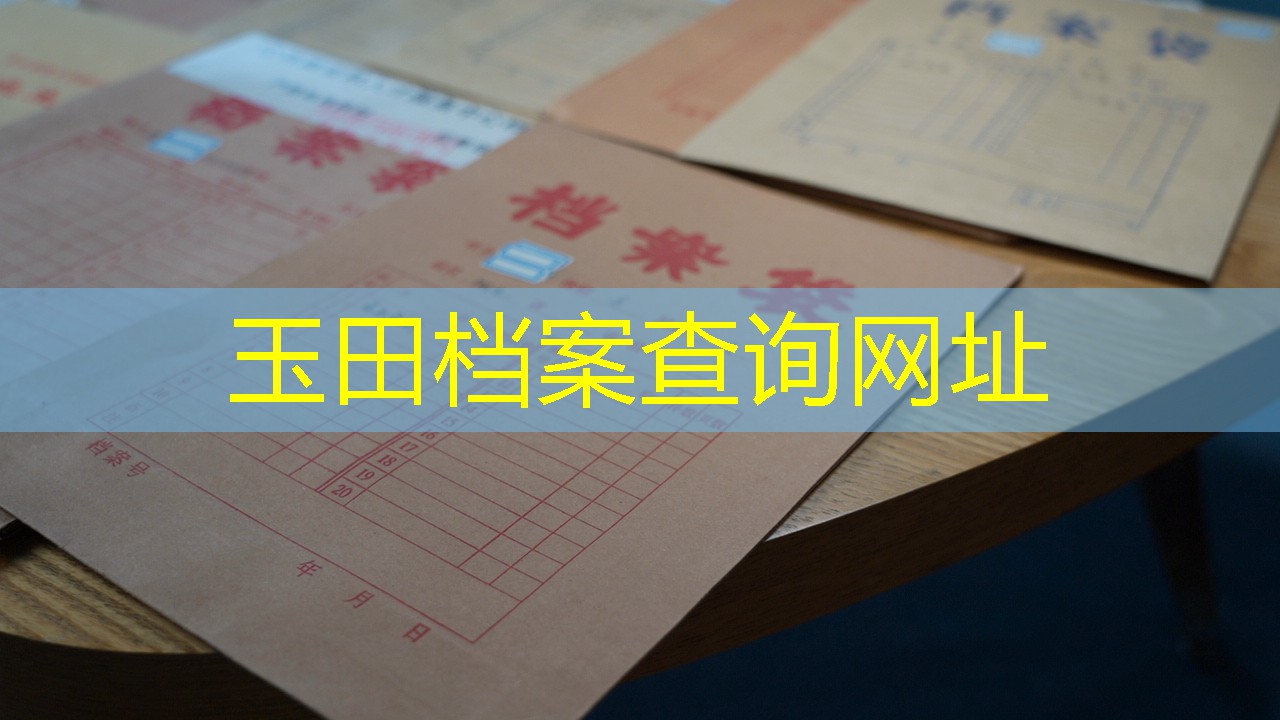 档案查询