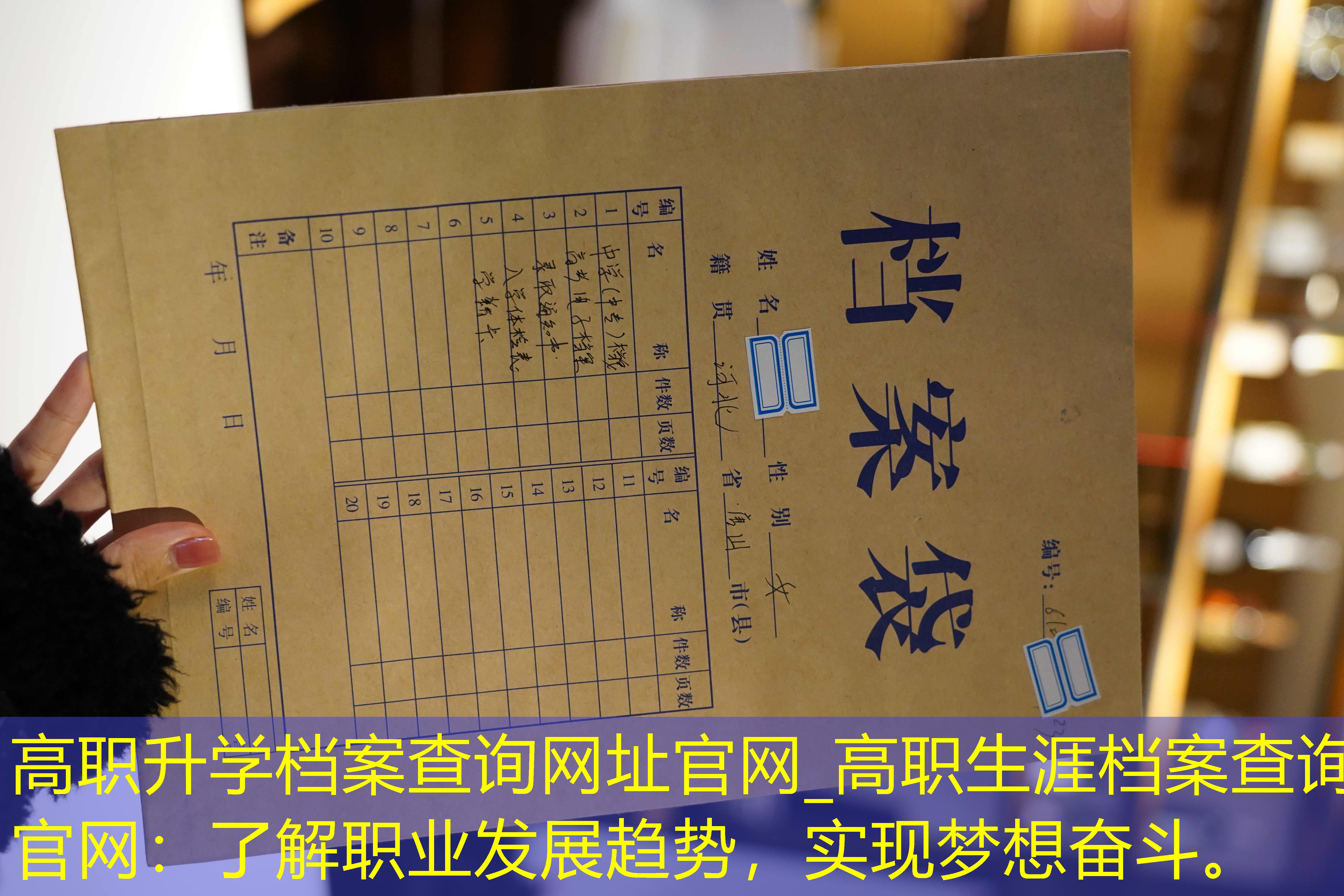 档案查询
