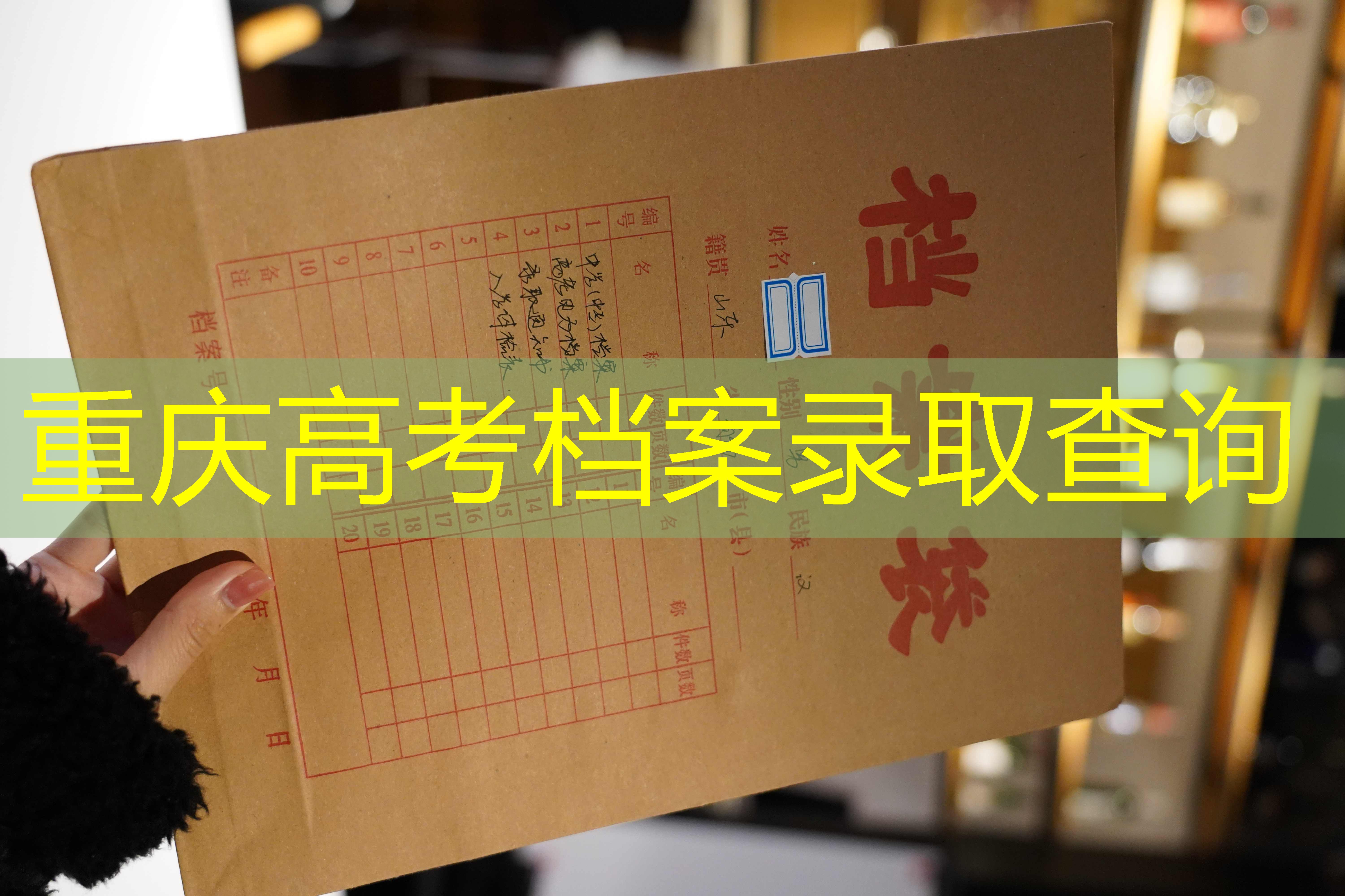 档案查询