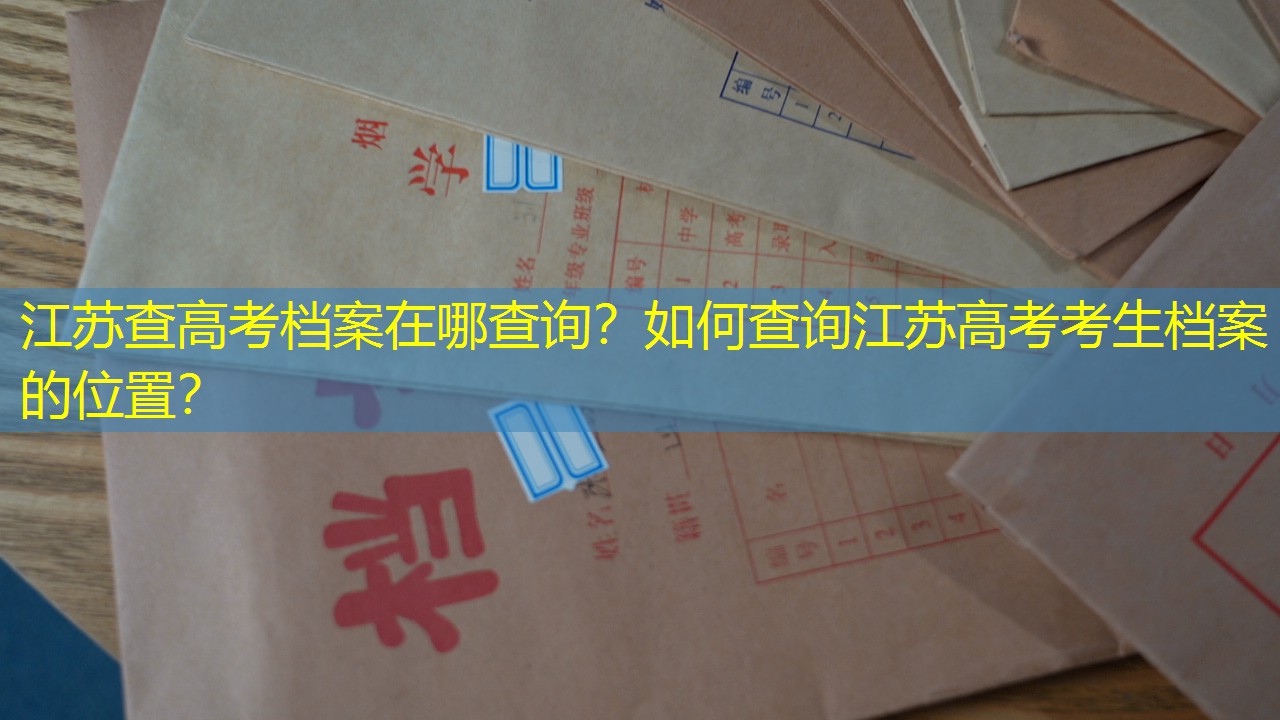 档案查询